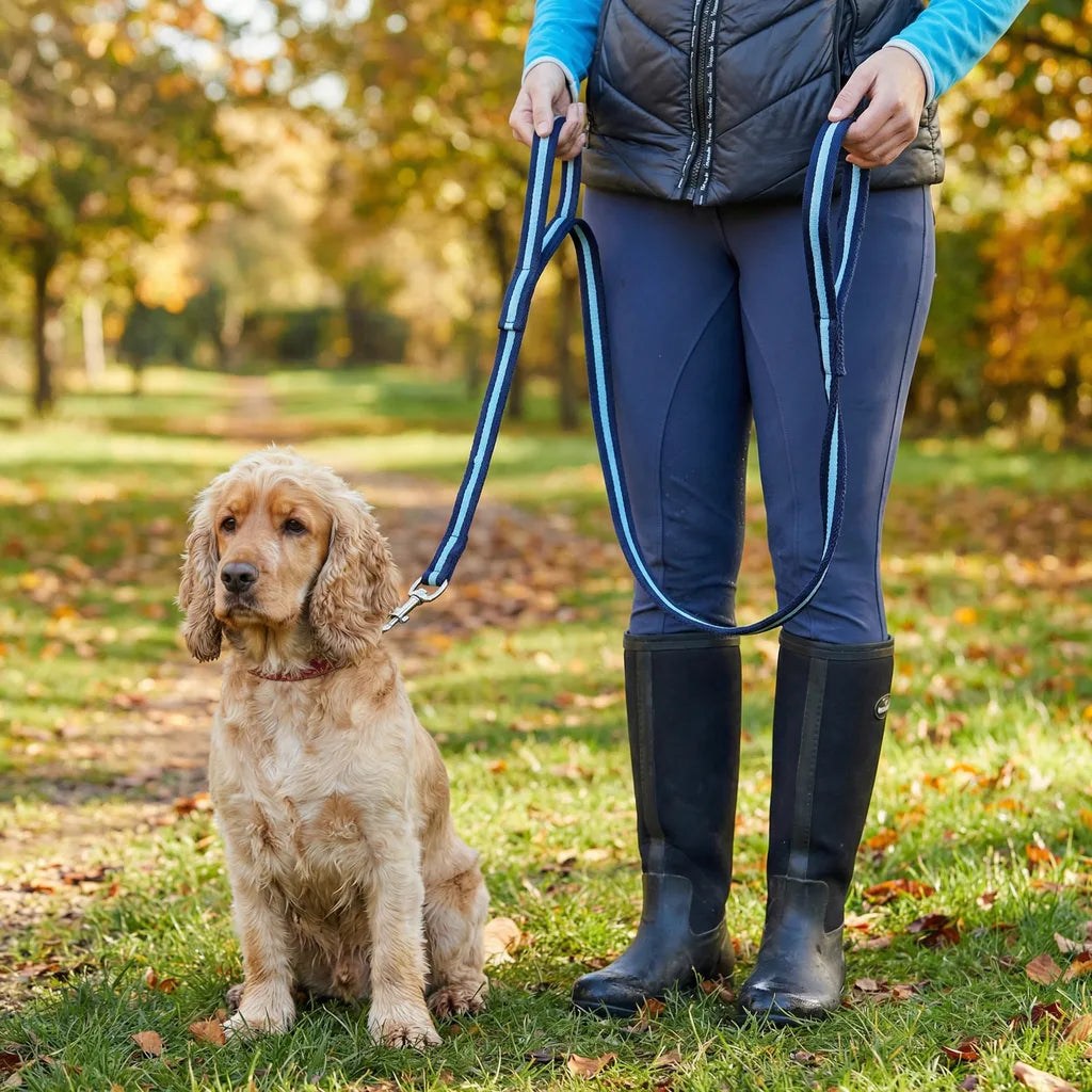 Close Control Dual Contact Dog Pet Training Lead - 1.5m Long