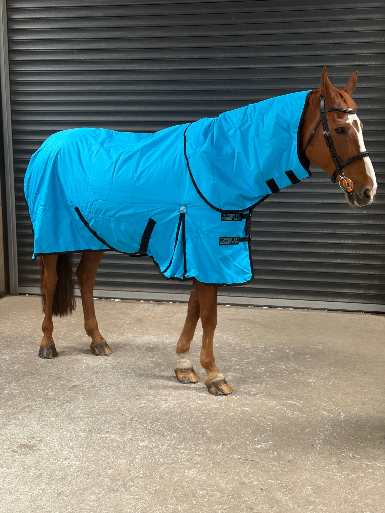 Lightweight 600D Turnout Rug 100g Fill - Highlighter Blue Close Up - Turner Equestrian