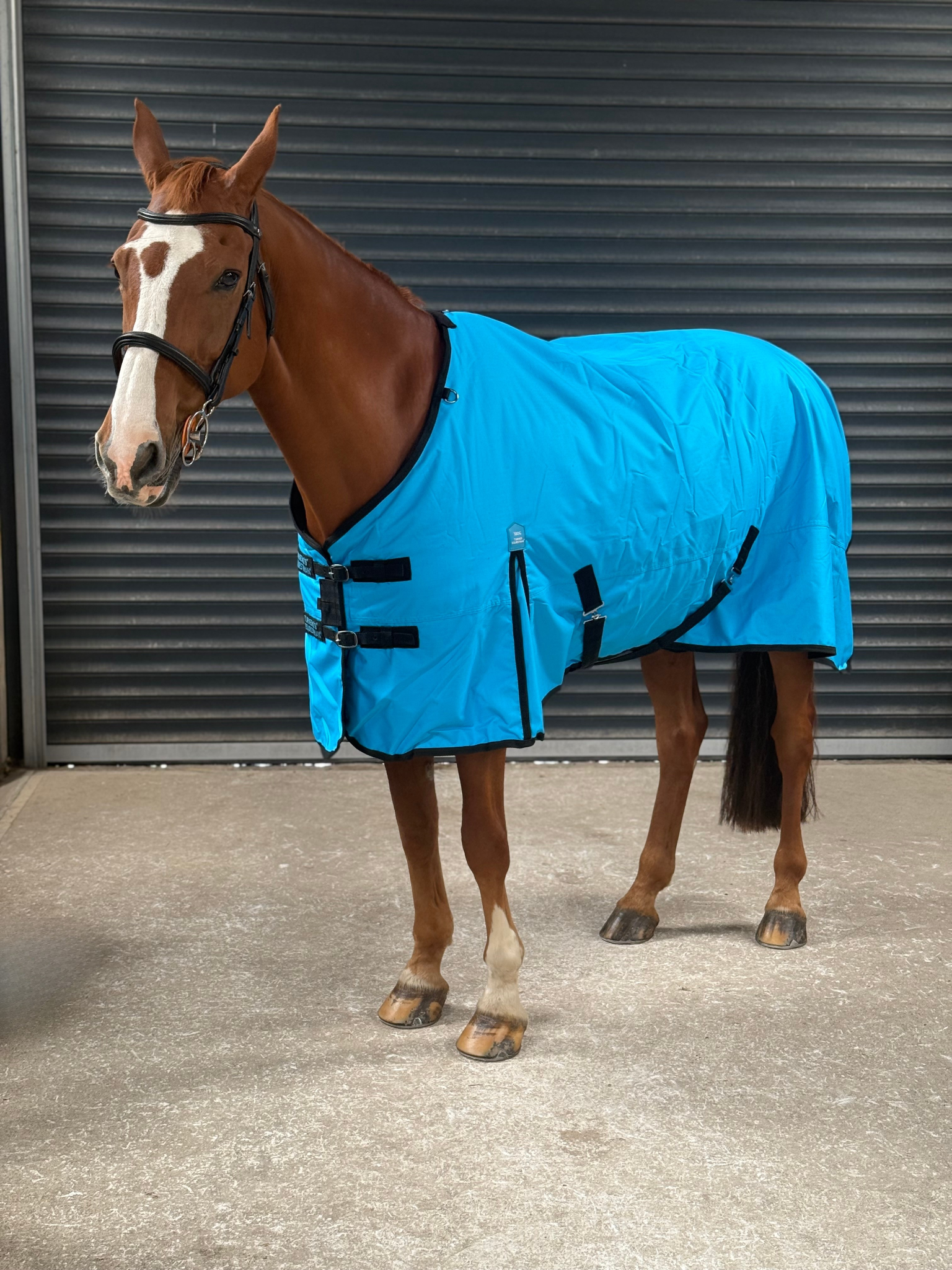 Lightweight 600D Turnout Rug 100g Fill - Highlighter Blue Feature Detail - Turner Equestrian
