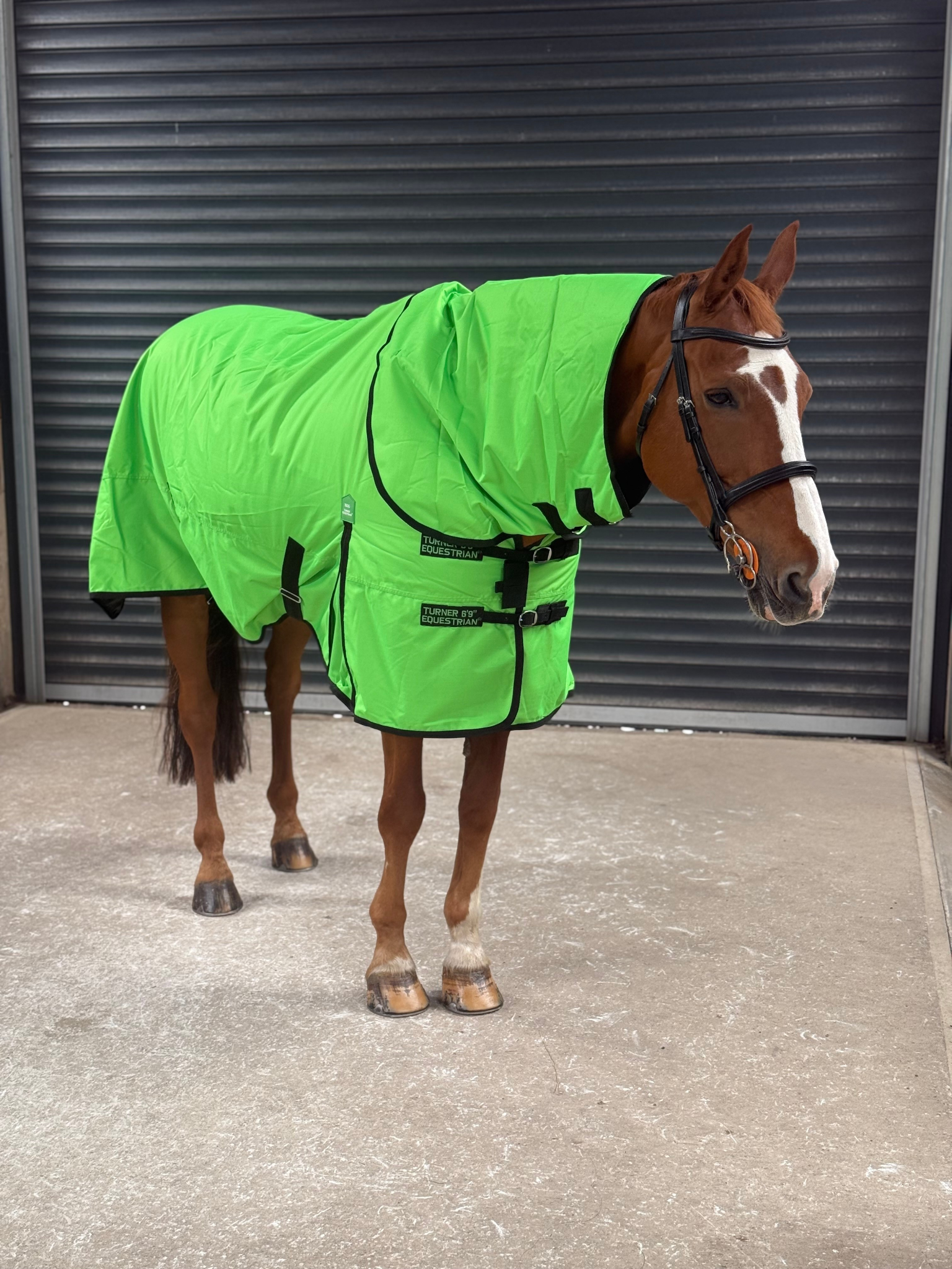 Lightweight 600D Turnout Rug 100g Fill - Highlighter Green Close Up - Turner Equestrian