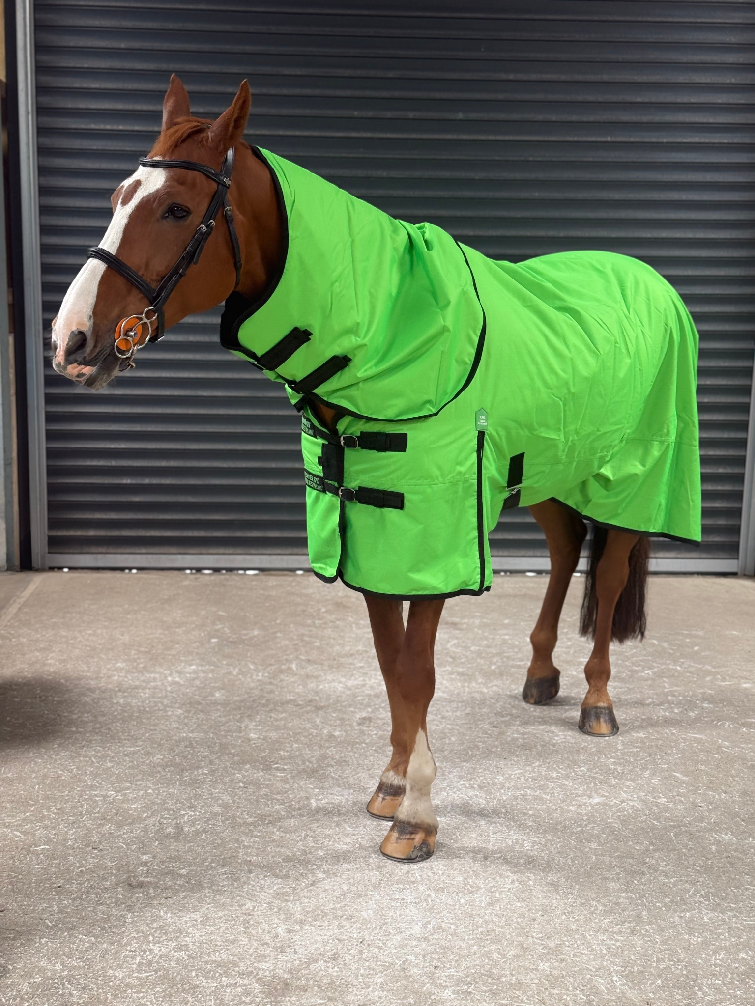 Lightweight 600D Turnout Rug 100g Fill - Highlighter Green Feature Detail - Turner Equestrian
