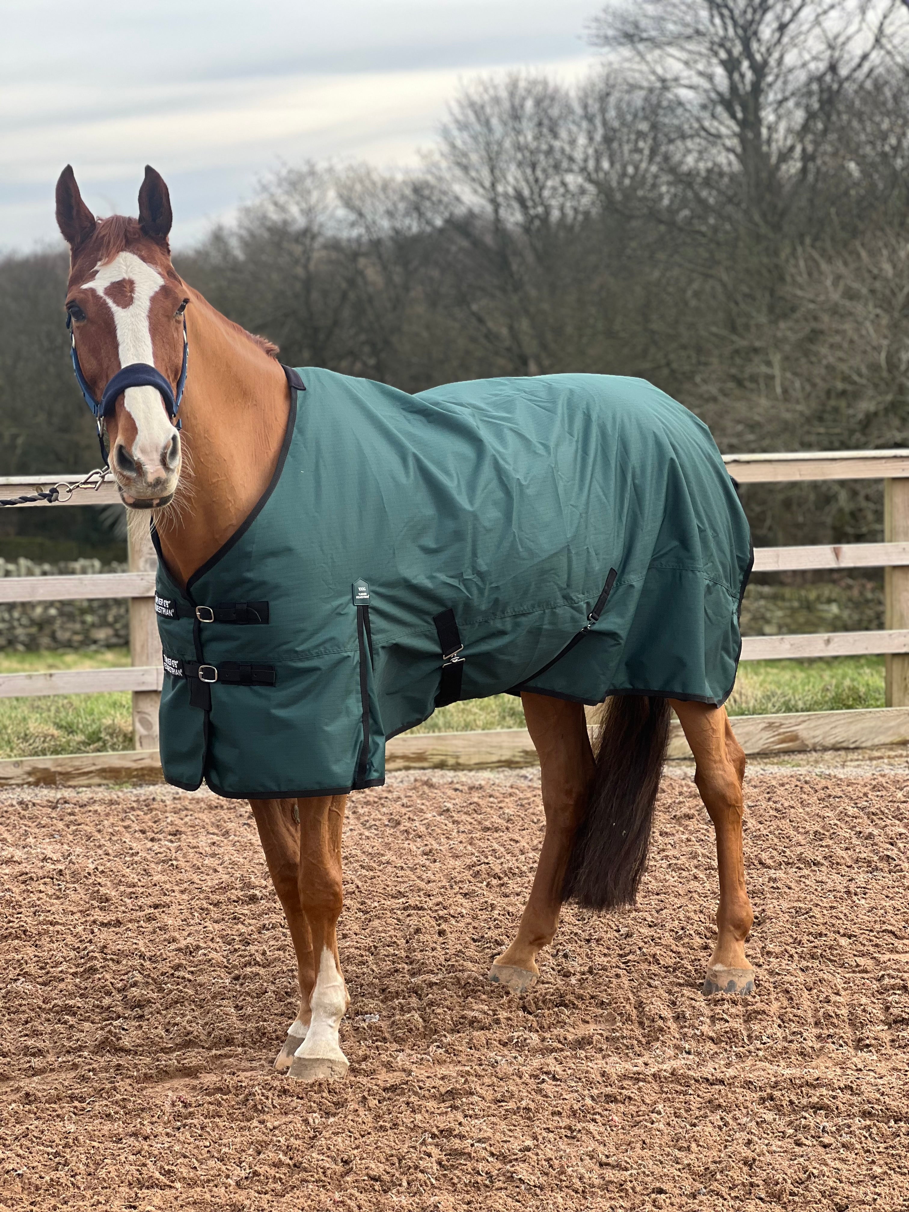 Lightweight 600D Turnout Rug 100g Fill Forest Green