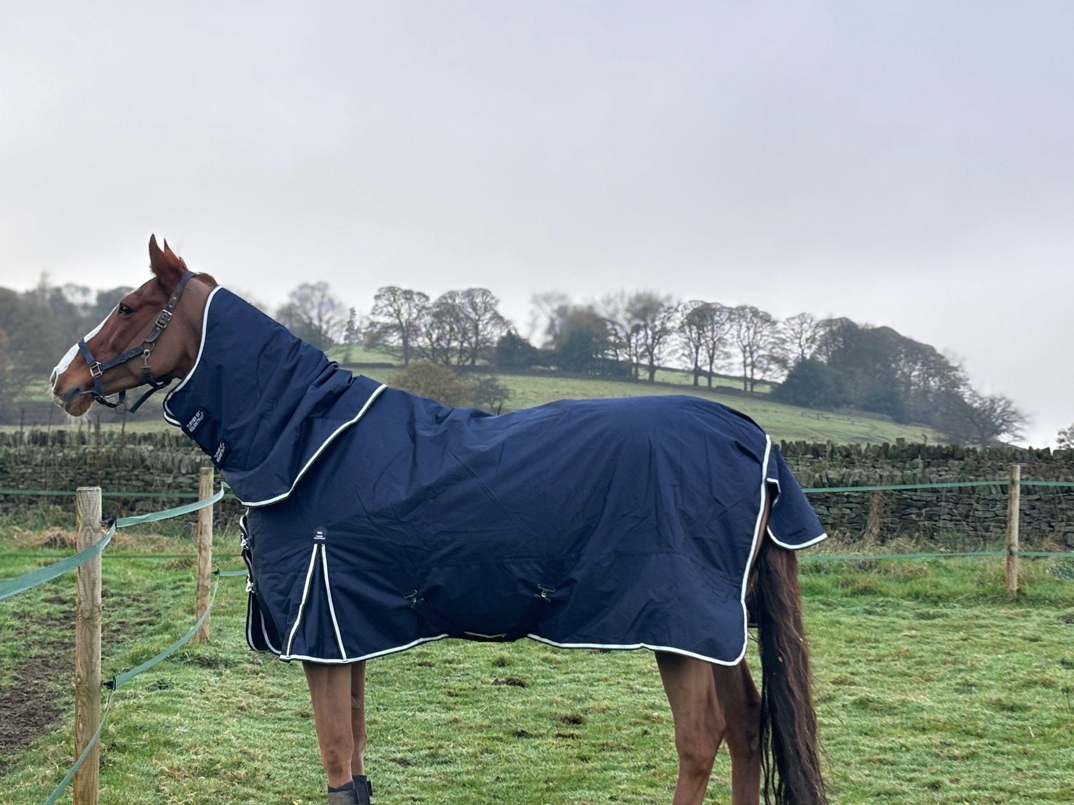 Lightweight Combo 600D Turnout Rug 50g Fill Navy