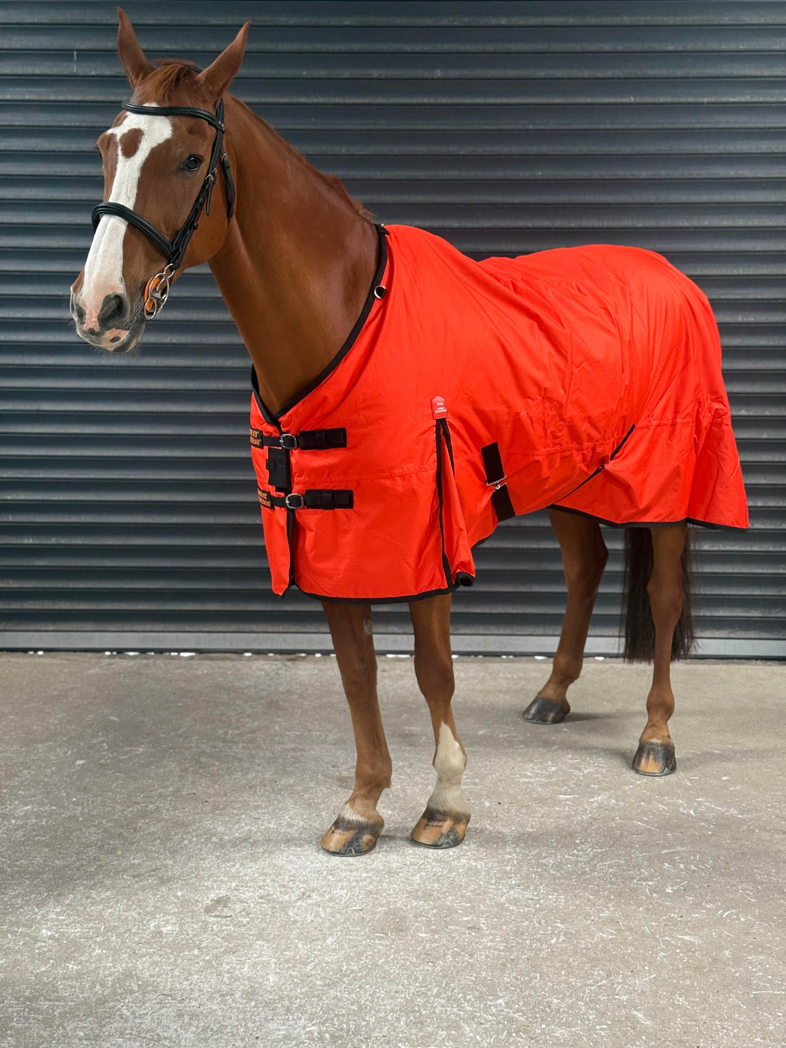Lightweight 600D Turnout Rug 100g Fill - Highlighter Orange Close Up - Turner Equestrian