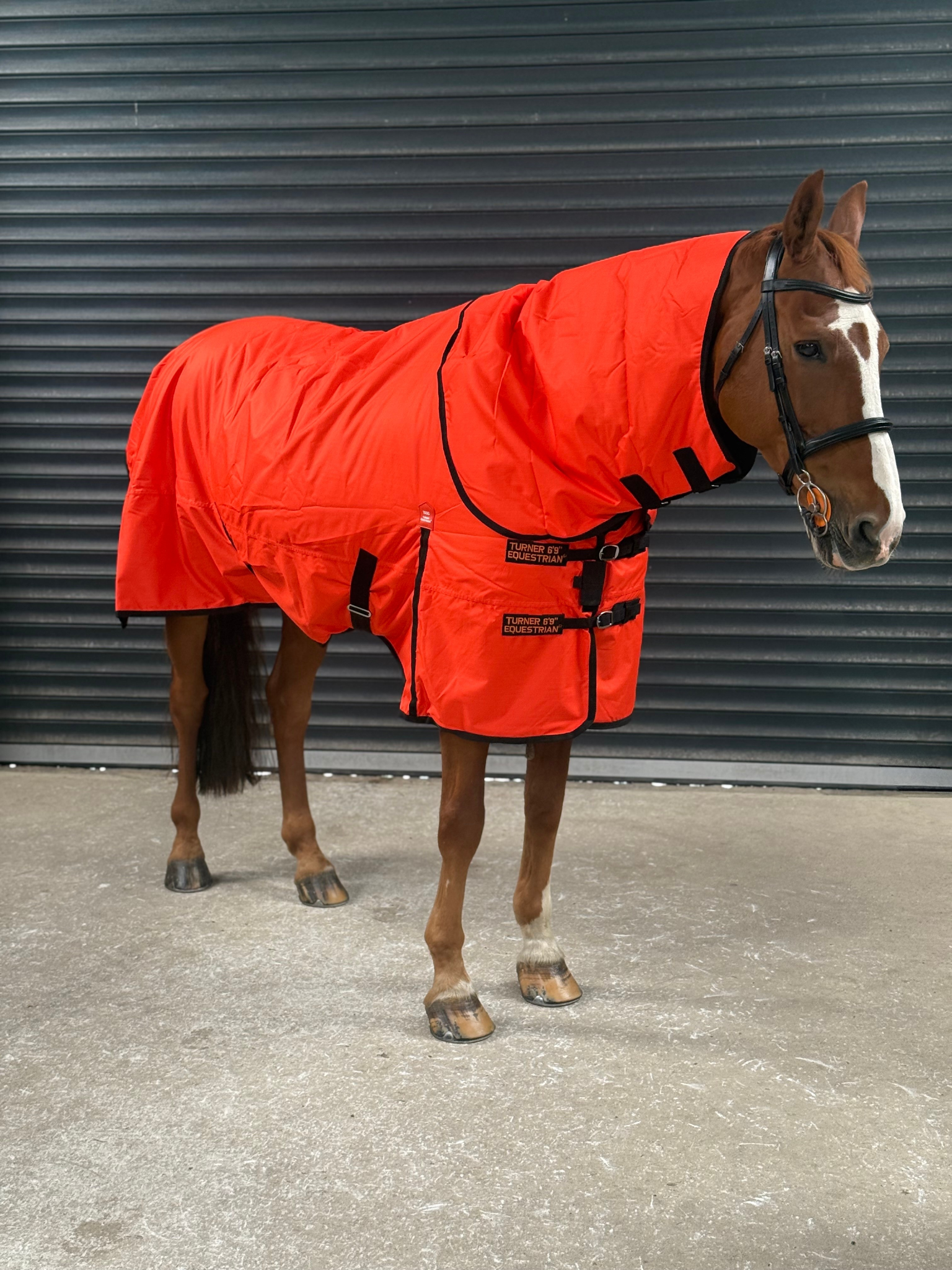 Lightweight 600D Turnout Rug 100g Fill - Highlighter Orange Feature Detail - Turner Equestrian
