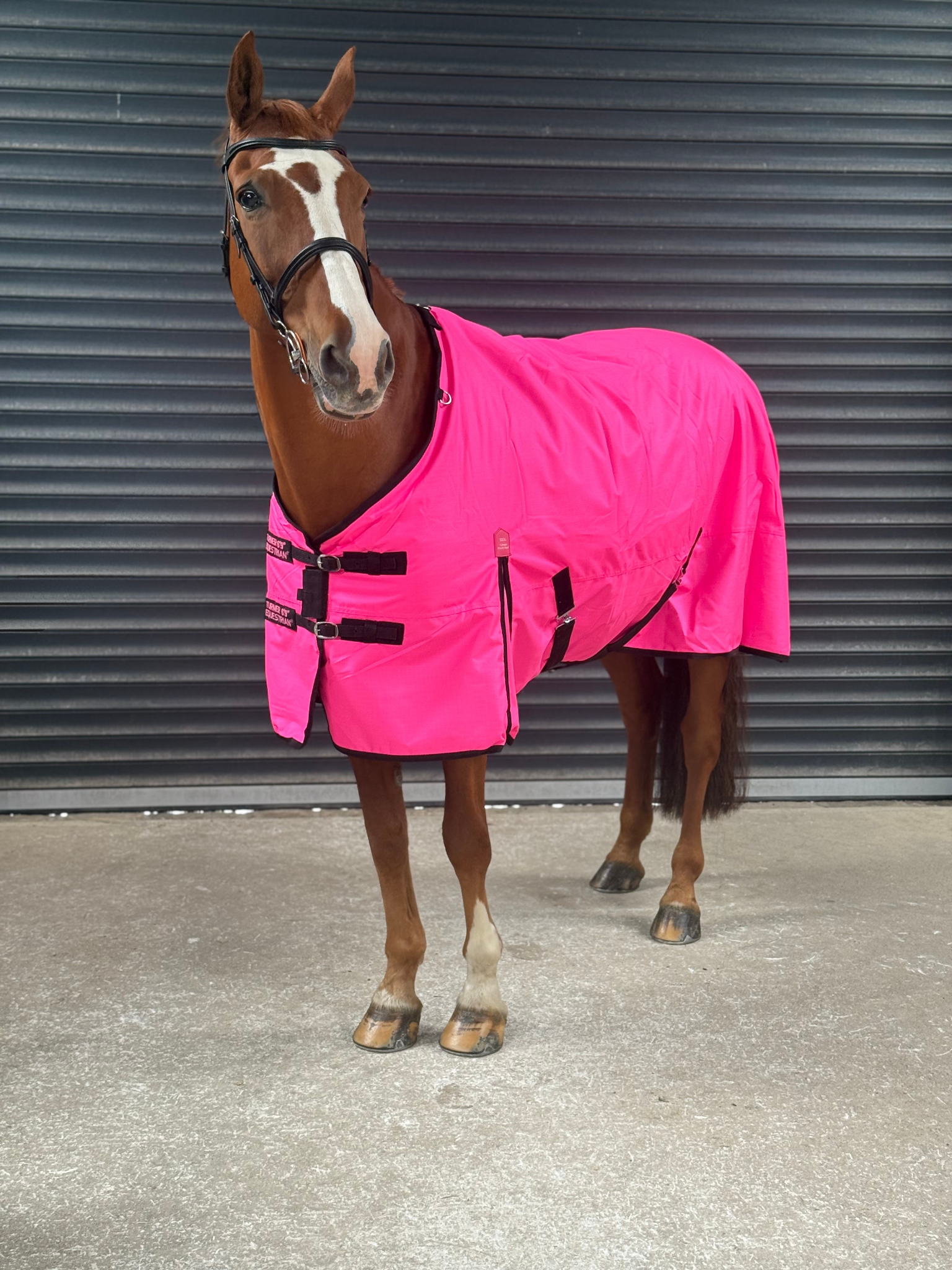 Lightweight 600D Turnout Rug 100g Fill - Highlighter Pink Close Up - Turner Equestrian