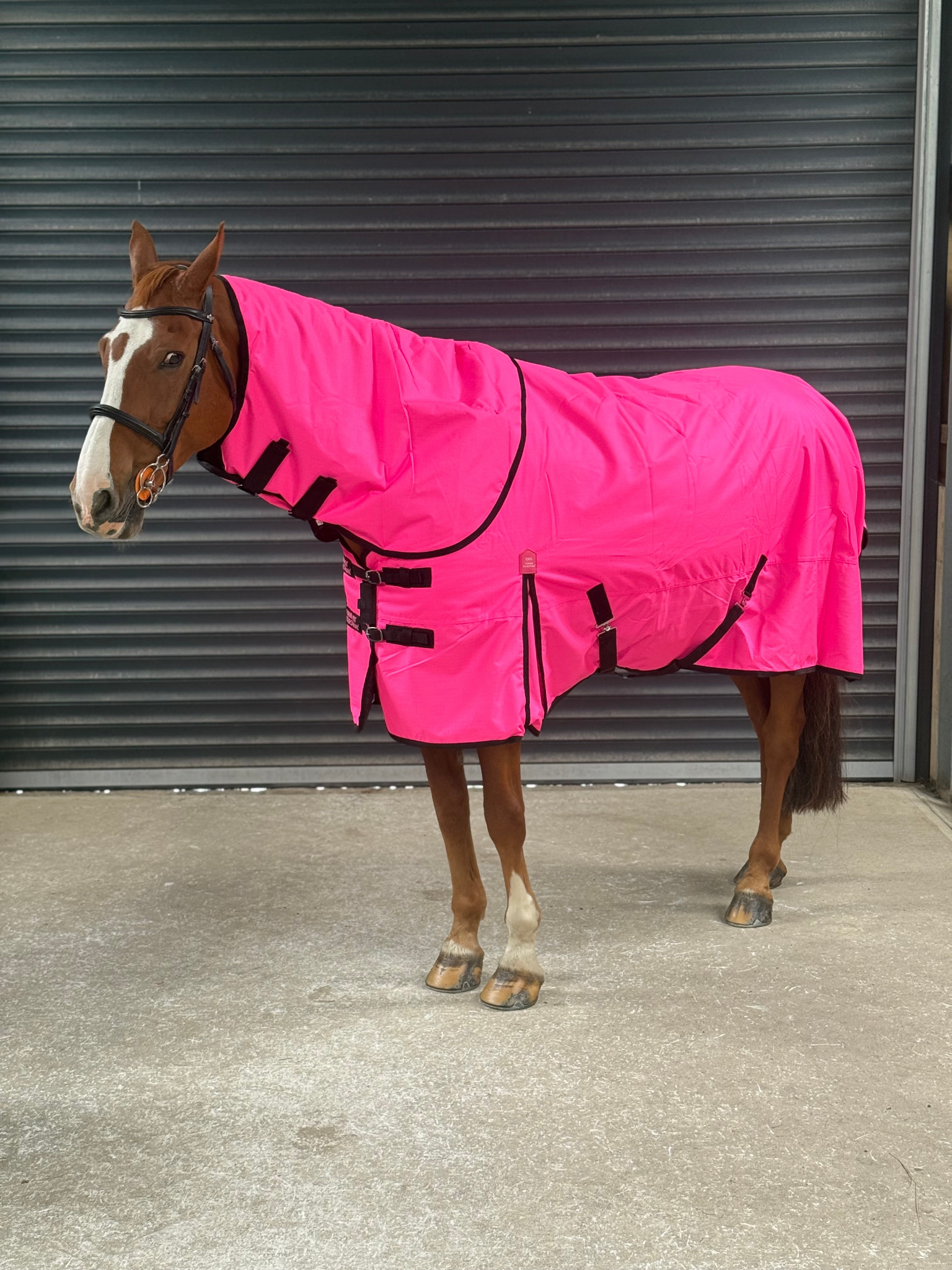 Lightweight 600D Turnout Rug 100g Fill - Highlighter Pink Feature Detail - Turner Equestrian