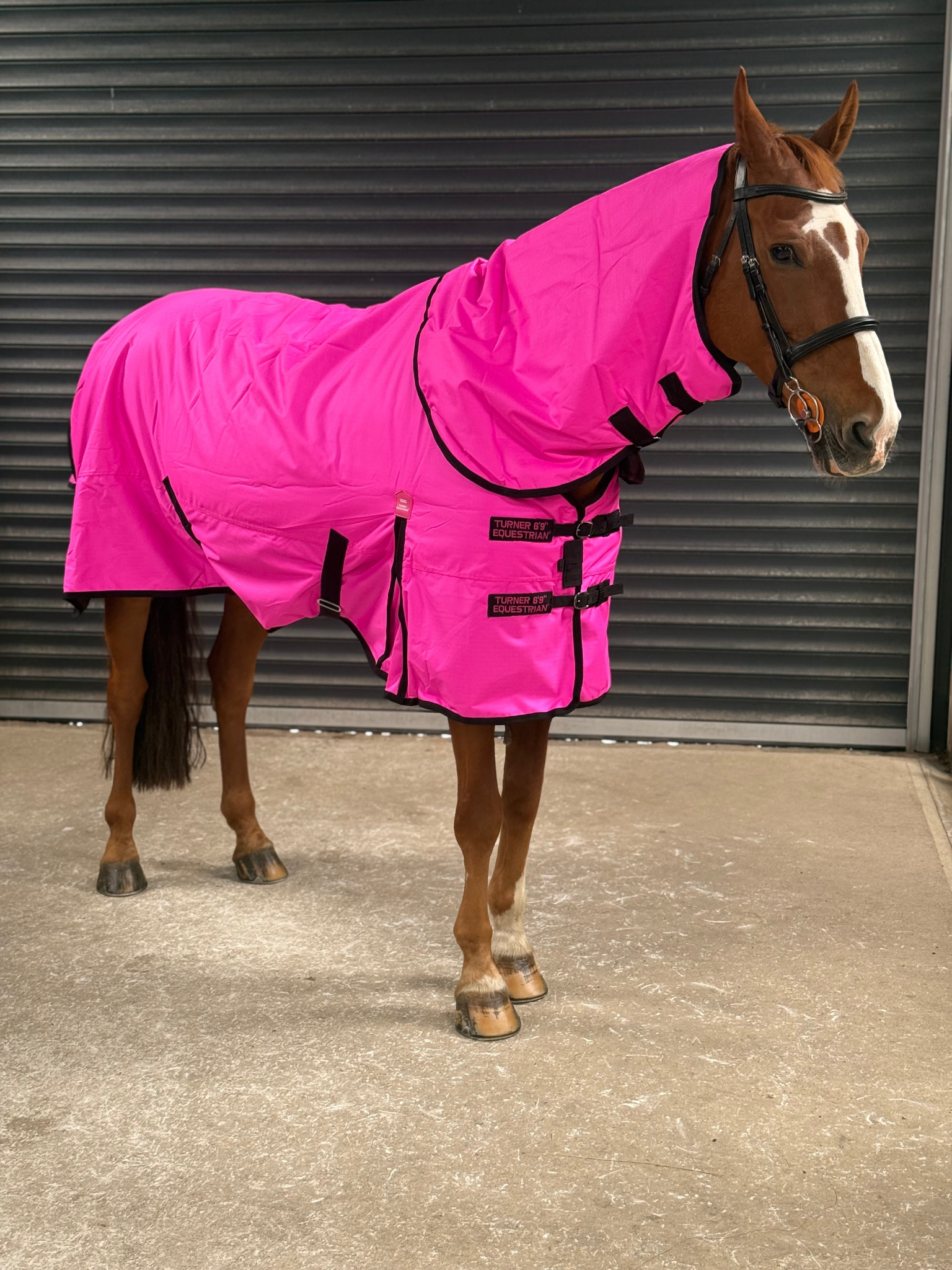 Lightweight 600D Turnout Rug 100g Fill - Highlighter Purple Close Up - Turner Equestrian