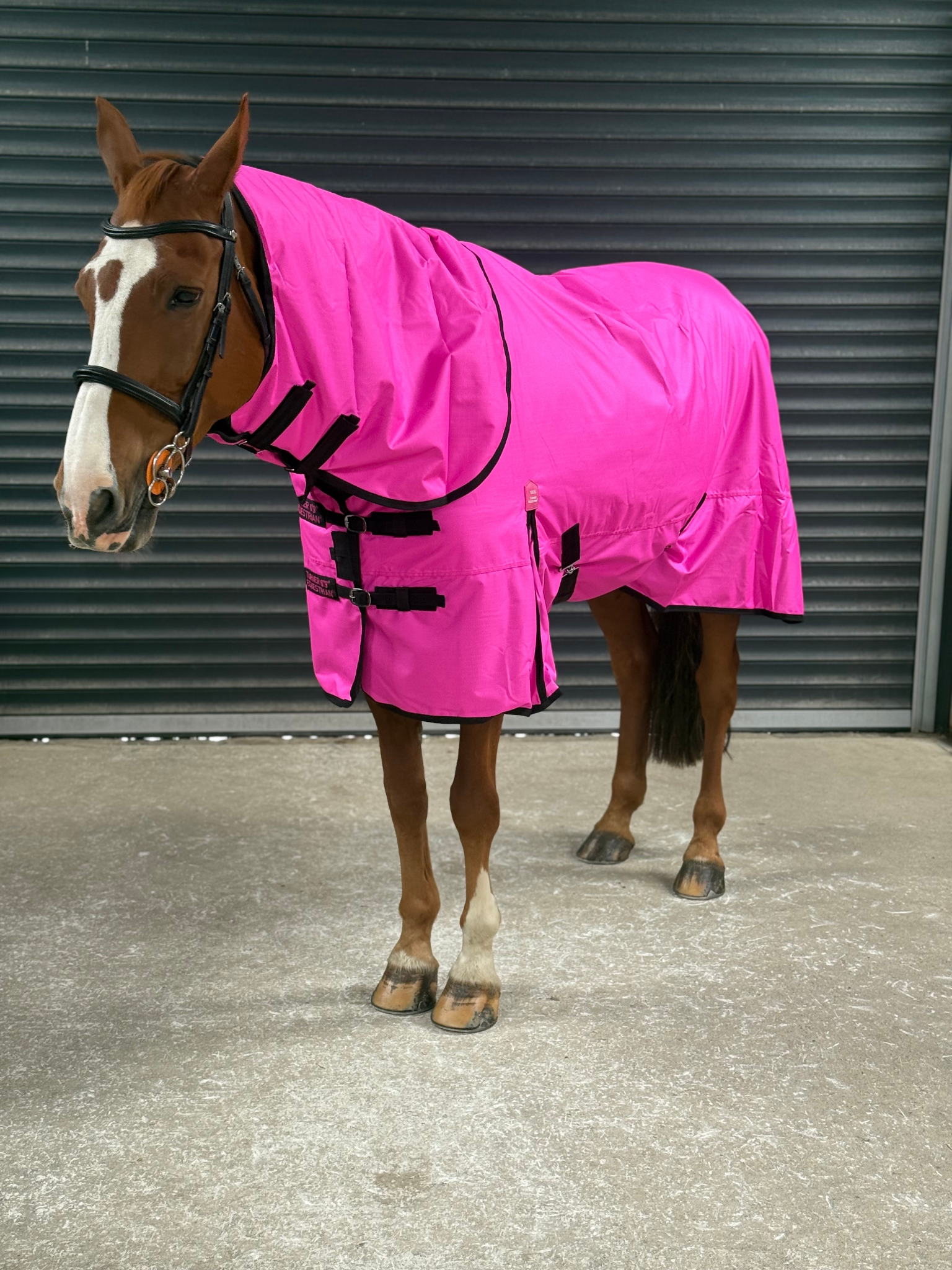 Lightweight 600D Turnout Rug 100g Fill - Highlighter Purple Feature Detail - Turner Equestrian