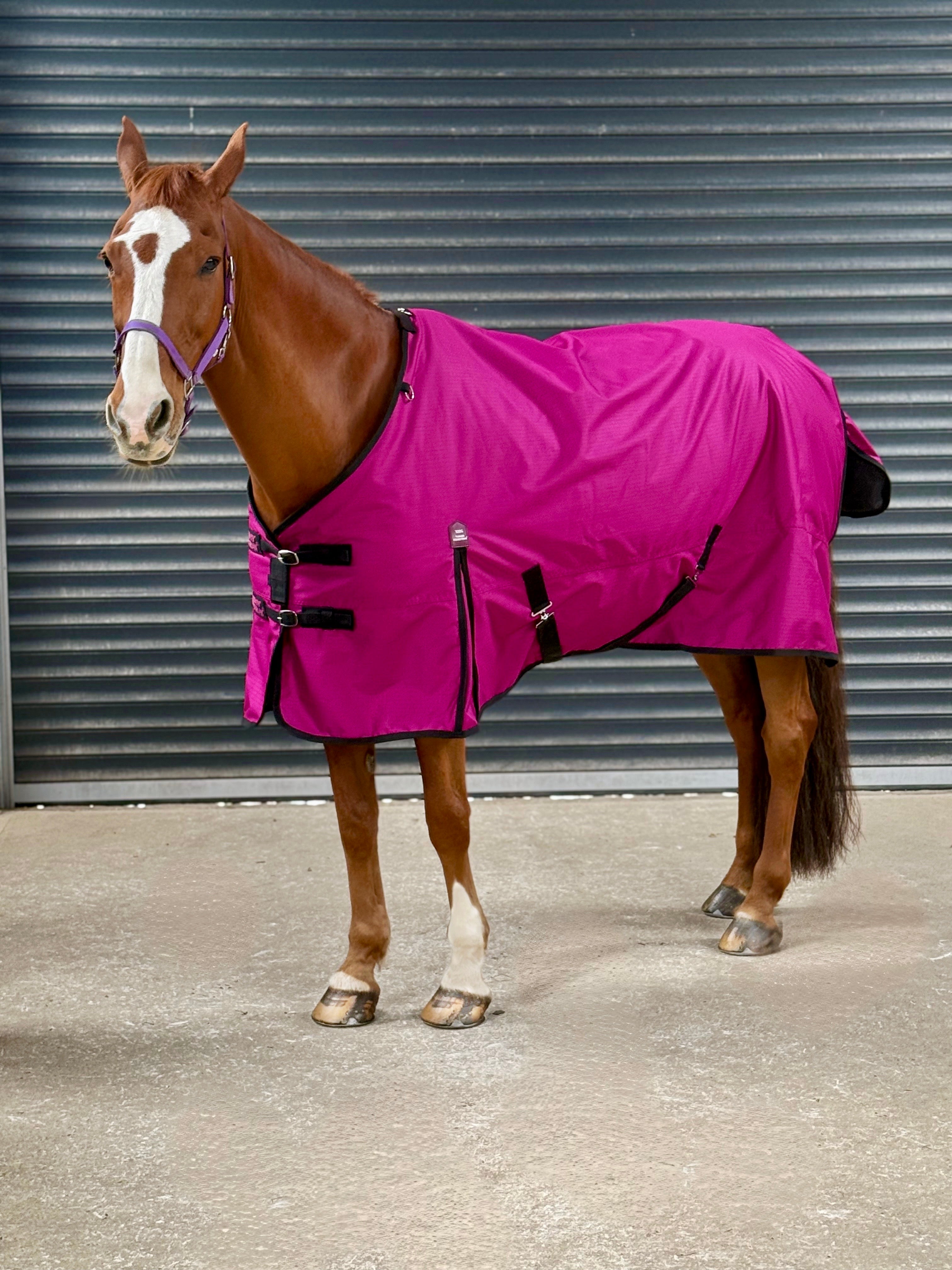Lightweight 600D Turnout Rug 100g Fill Deep Raspberry