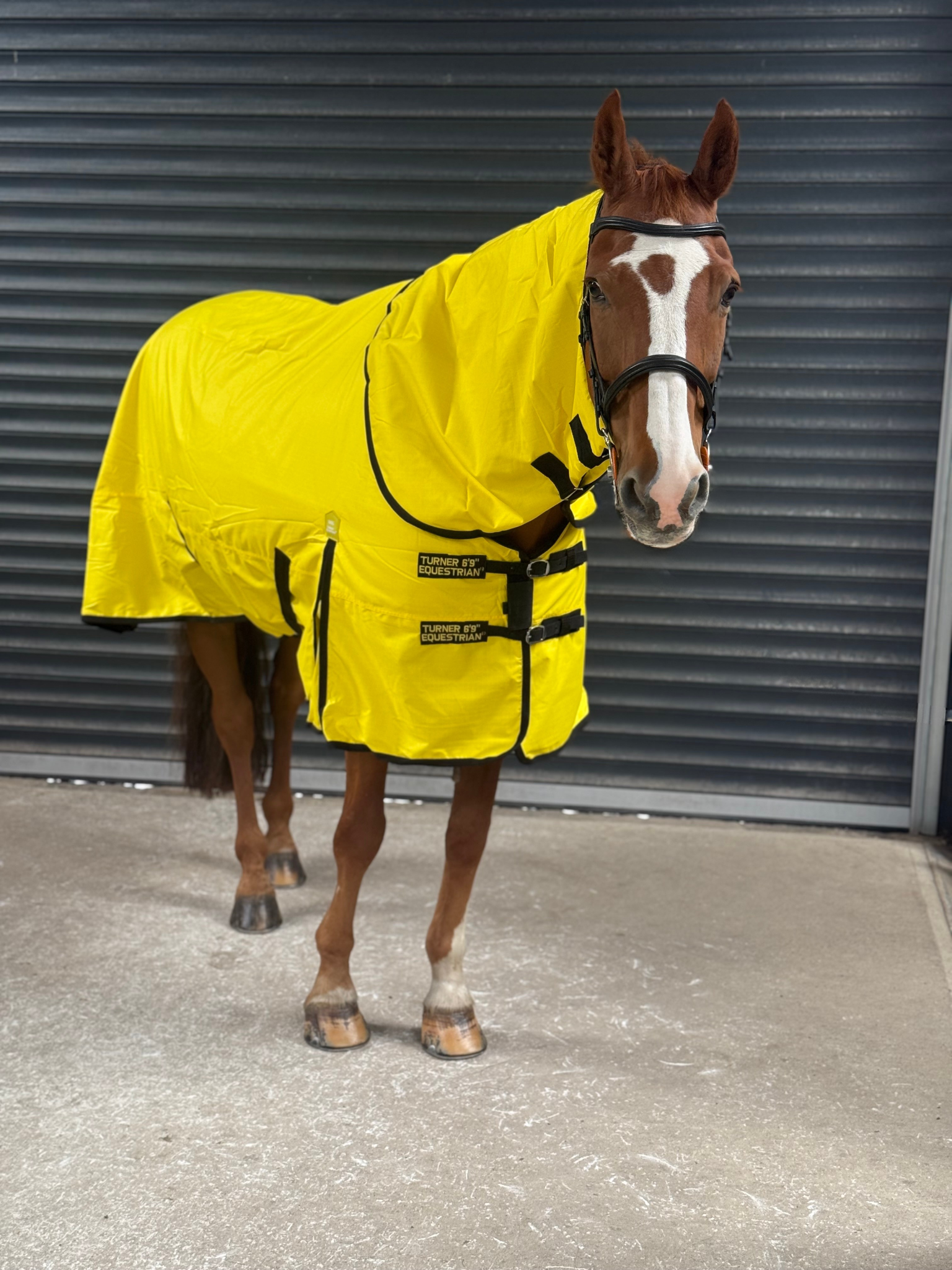 Lightweight 600D Turnout Rug 100g Fill - Highlighter Yellow Close Up - Turner Equestrian