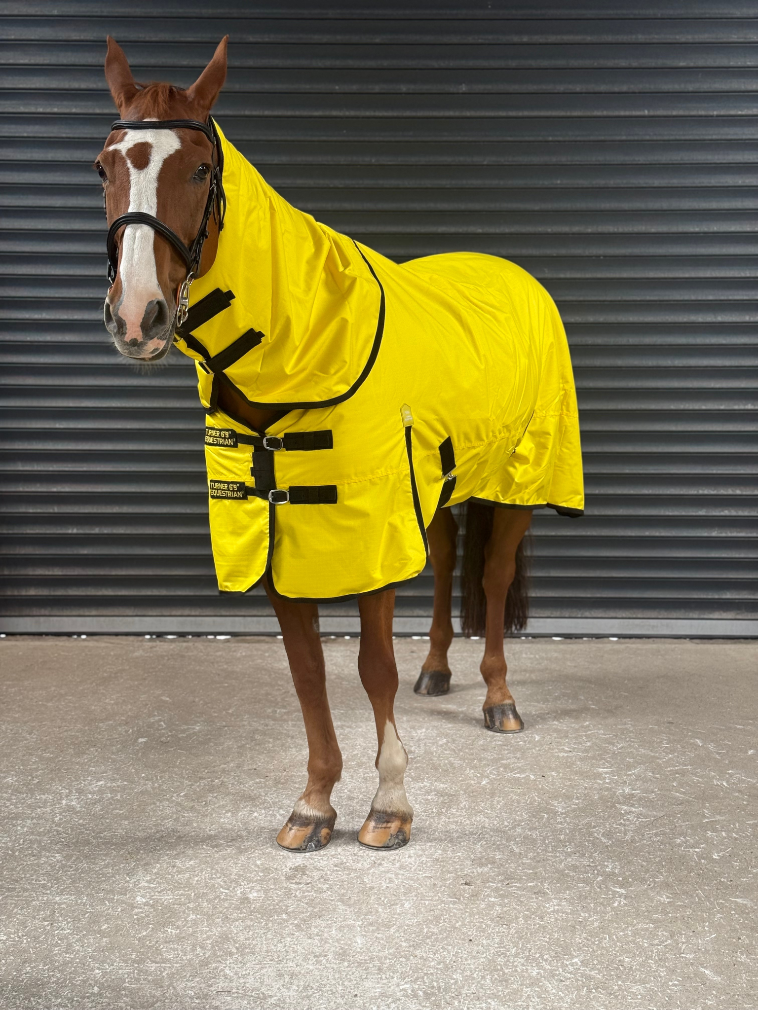 Lightweight 600D Turnout Rug 100g Fill - Highlighter Yellow Feature Detail - Turner Equestrian