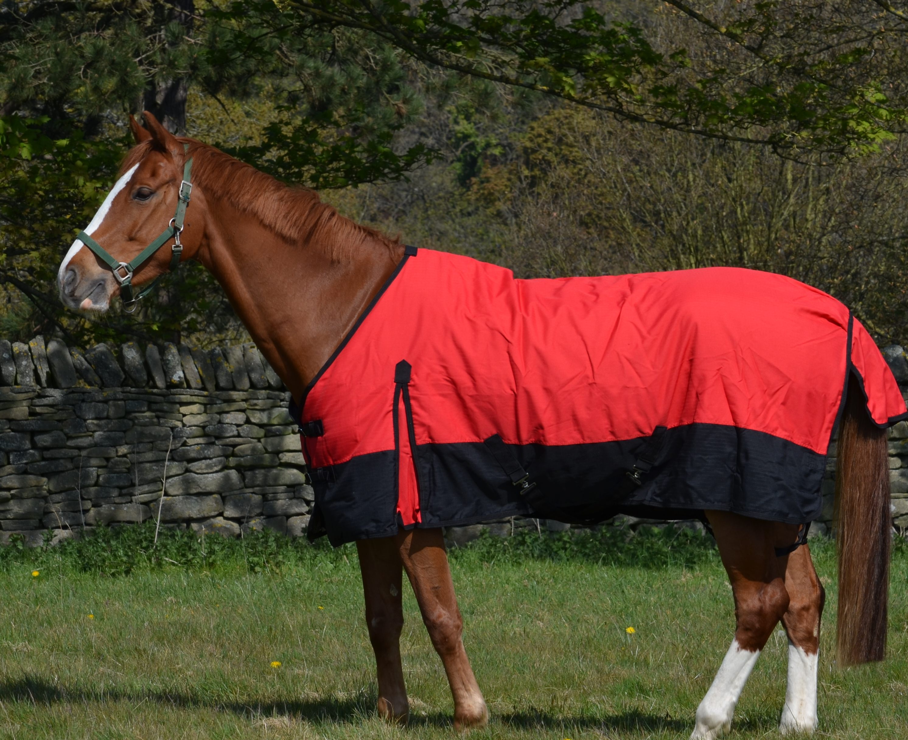 Mediumweight 600D Turnout Rug 200g Fill Red