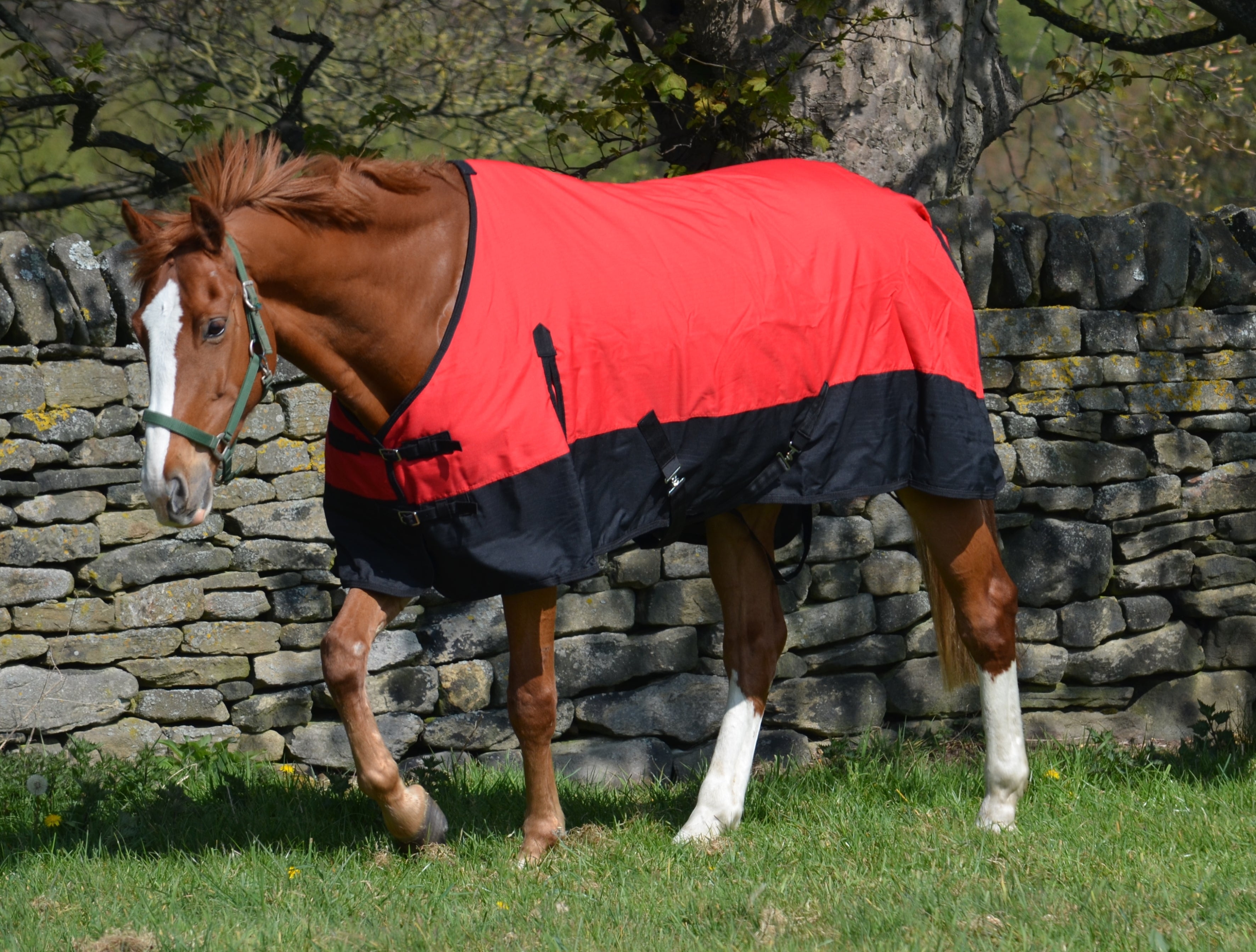 Mediumweight 600D Turnout Rug 200g Fill Red