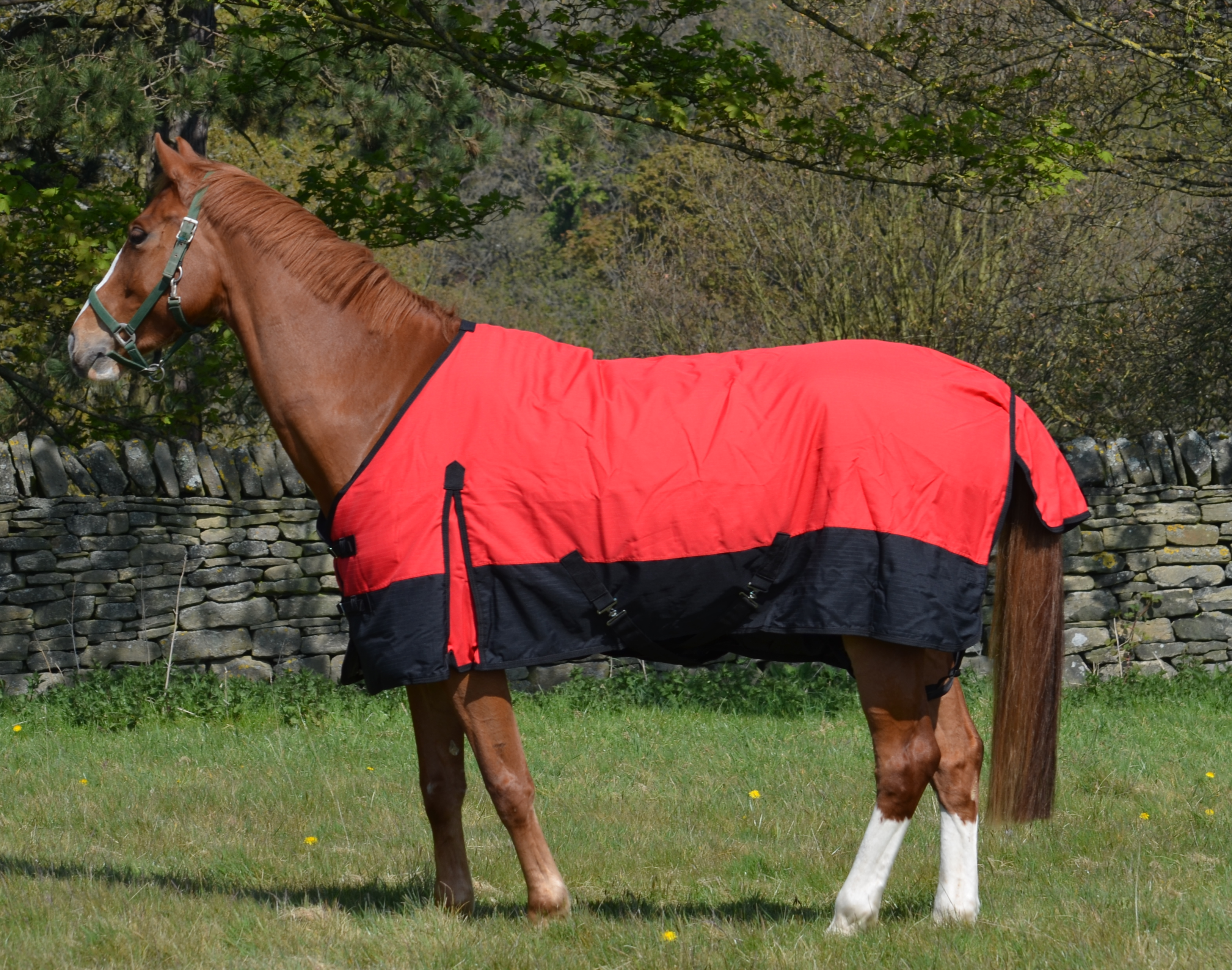 Mediumweight 600D Turnout Rug 200g Fill Red