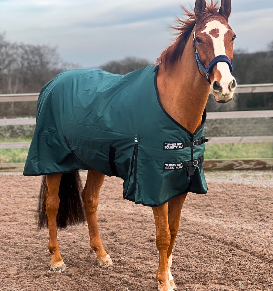 6'6 Lightweight 600D Turnout Rug 100g Fill Forest Green - Clearance