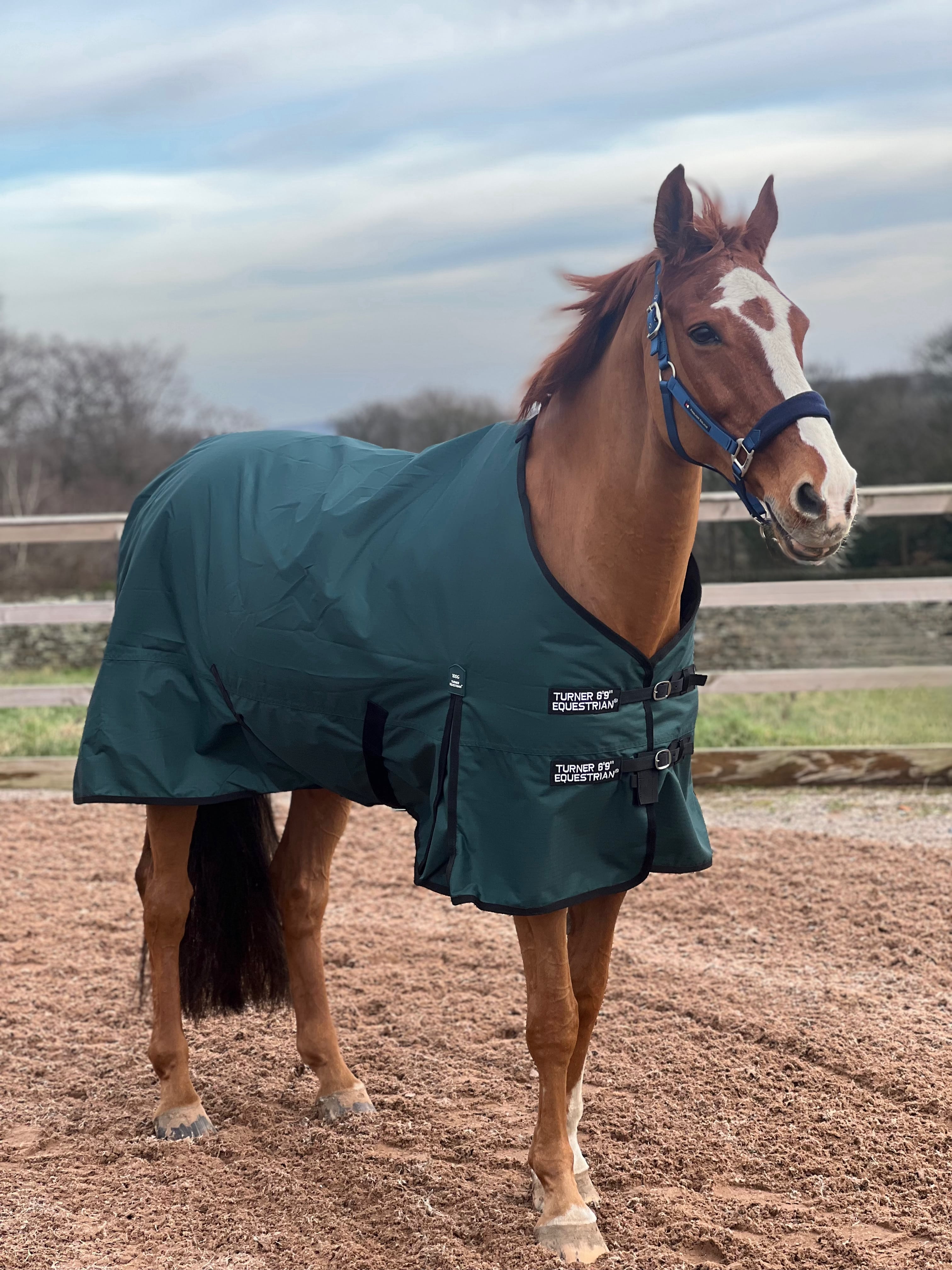 Lightweight 600D Turnout Rug 100g Fill Forest Green