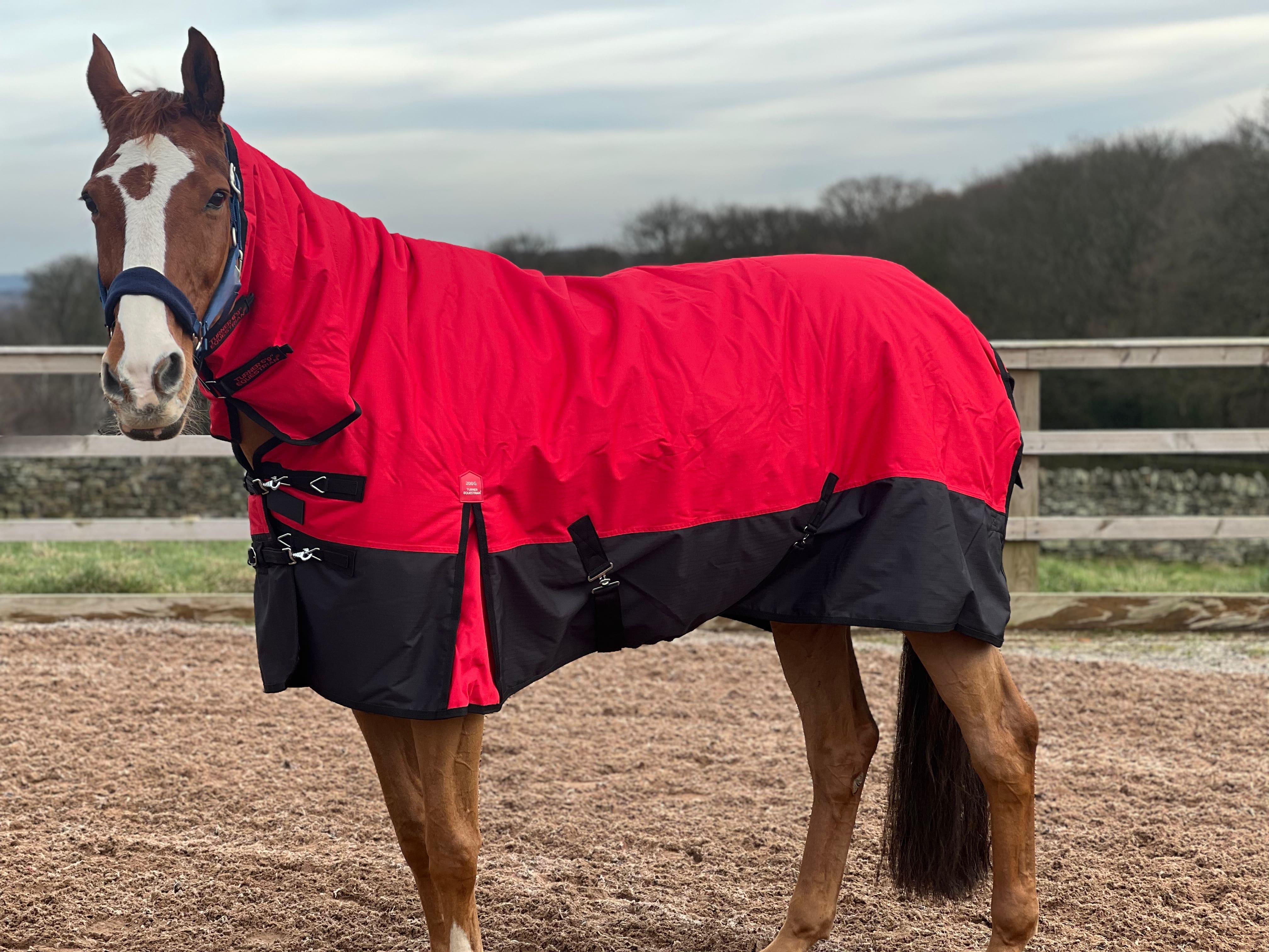 Mediumweight Combo 600D 200g Fill Waterproof Turnout Rug with Neck