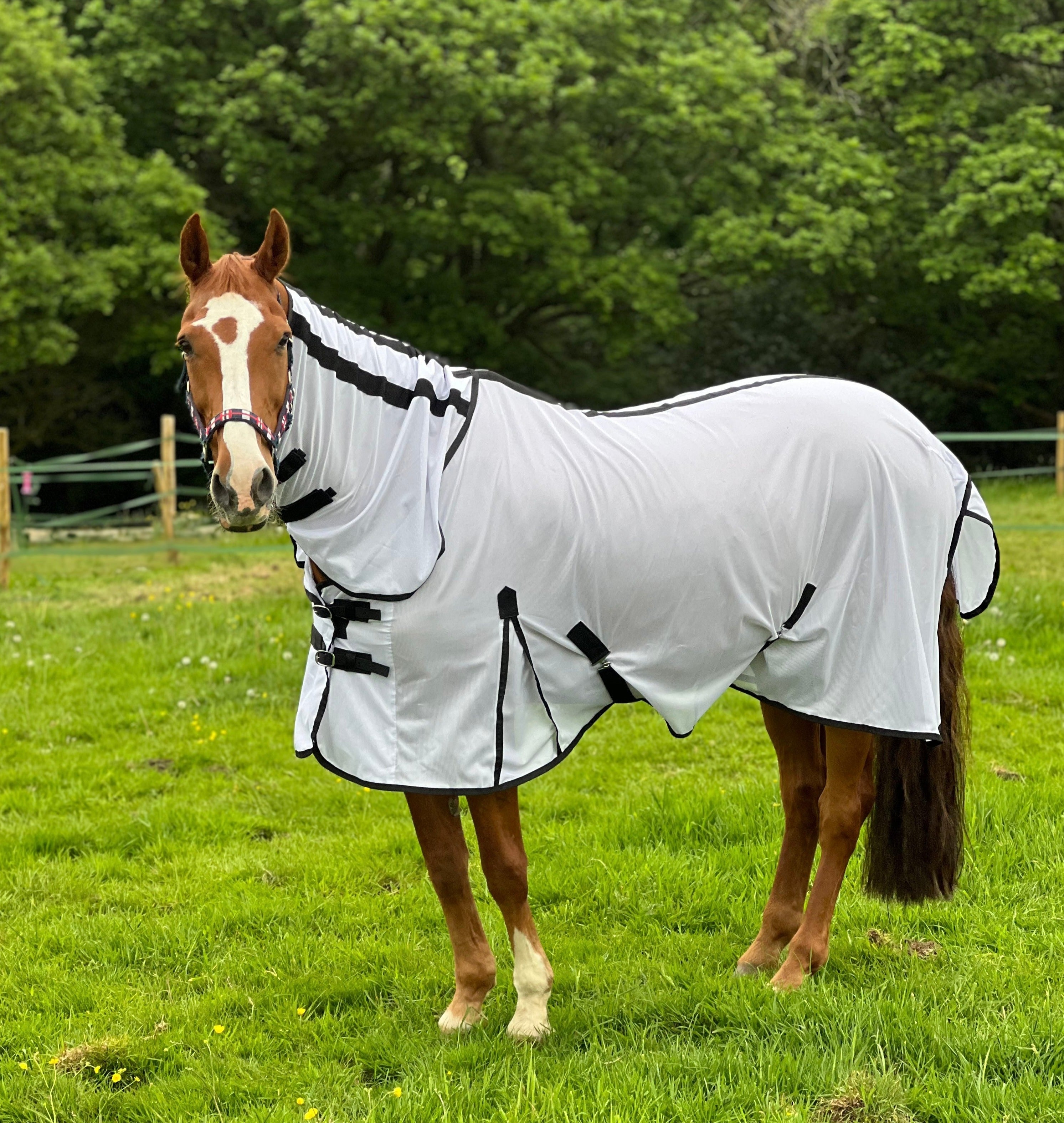 Lightweight Fly Rug Combo Neck