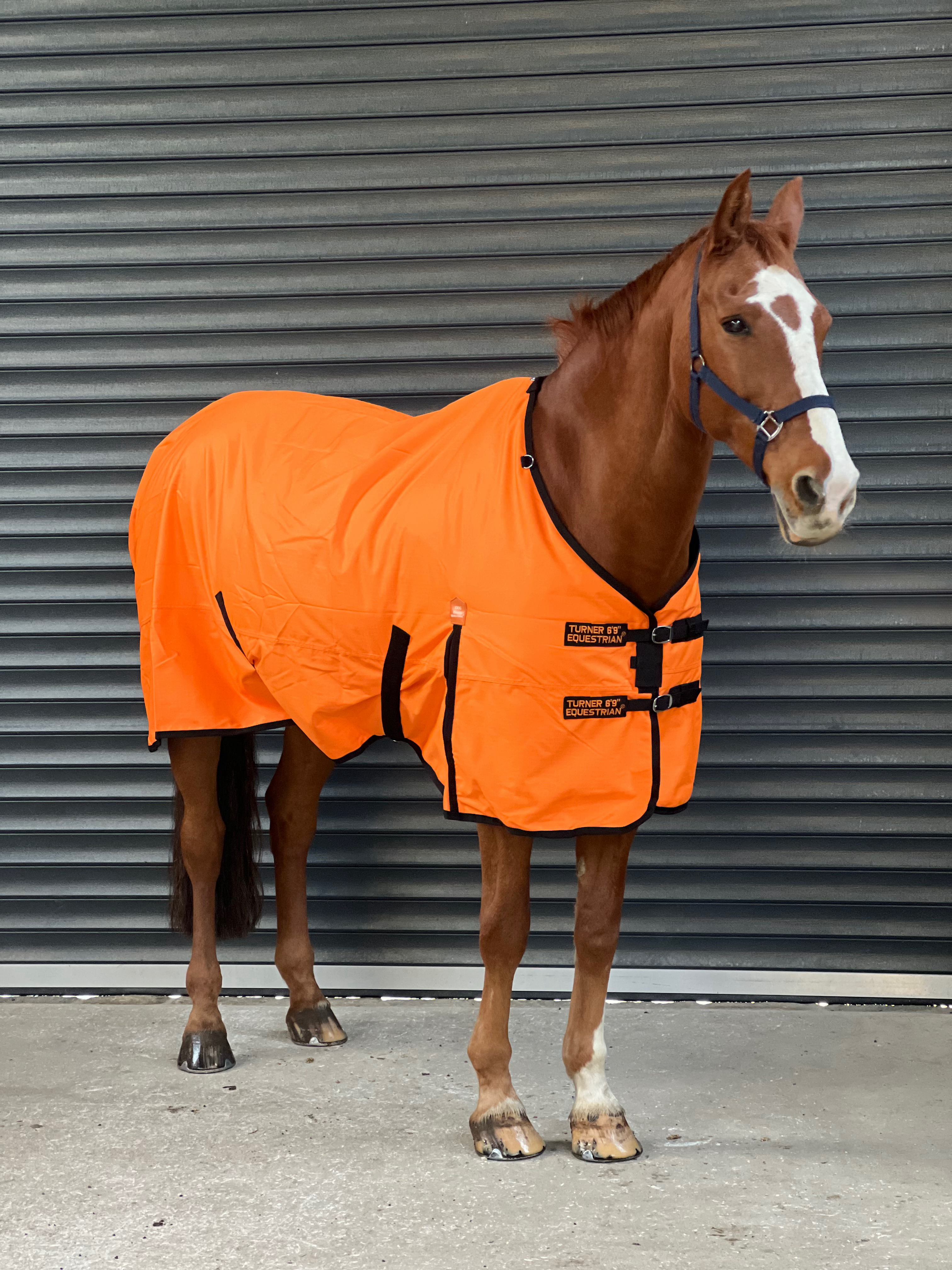 Lightweight 600D Turnout Rug 100g Fill Orange