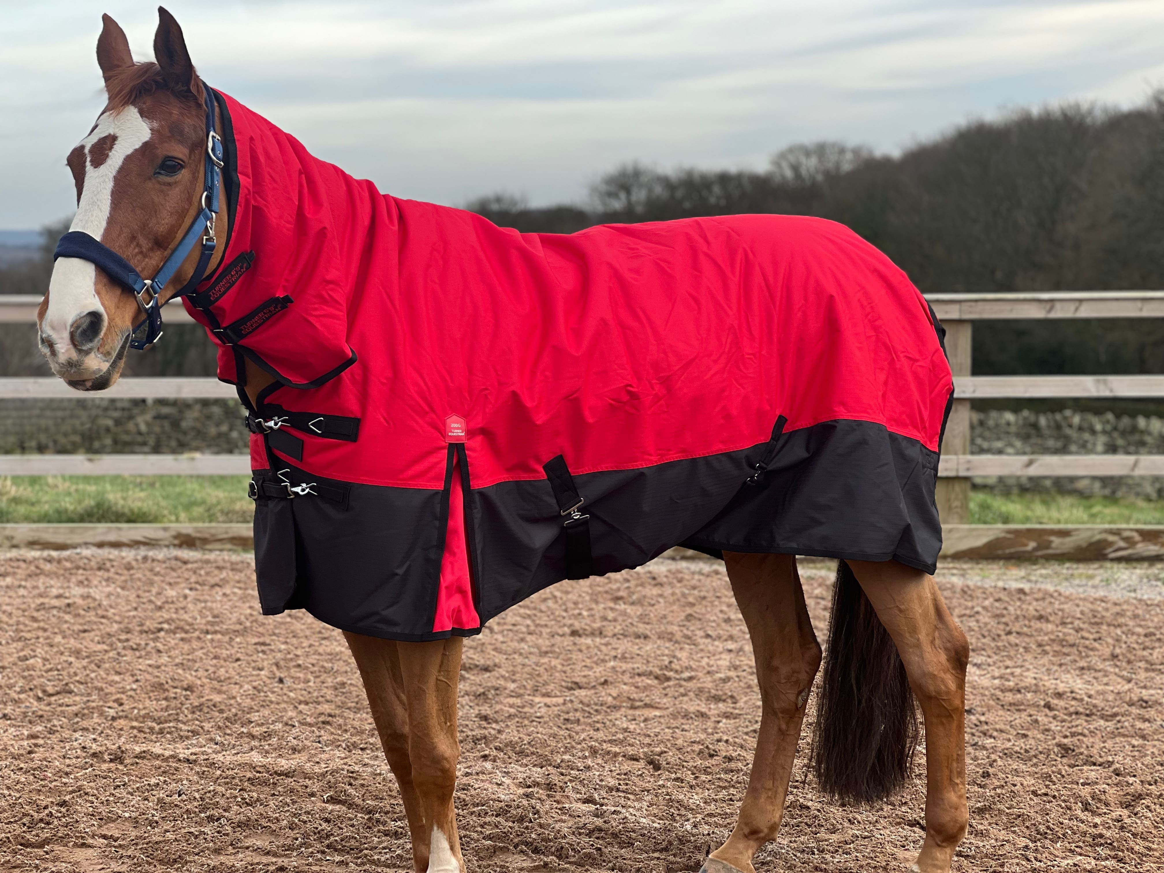 Mediumweight Combo 600D 200g Fill Waterproof Turnout Rug with Neck
