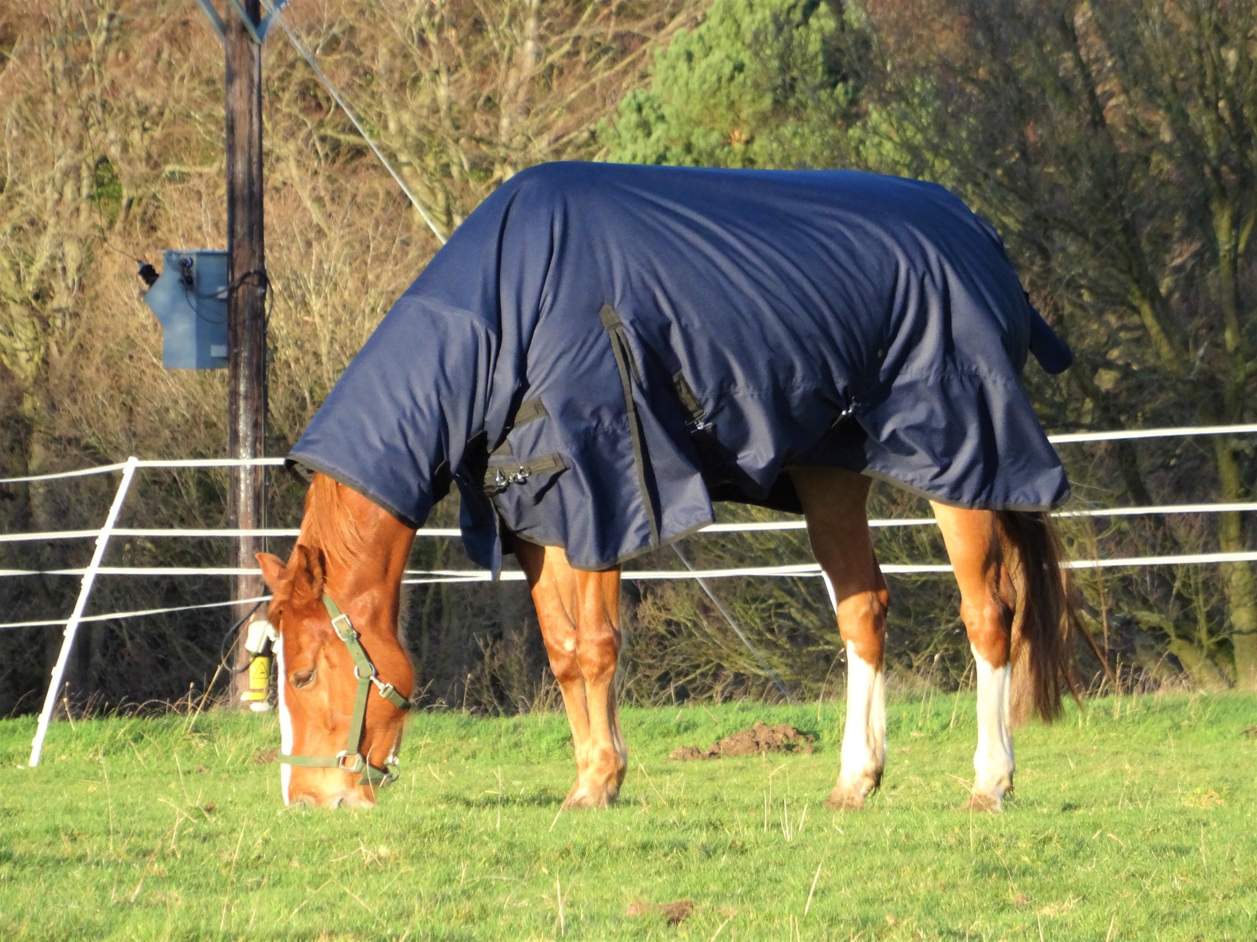 6'9 350g Combo Turnout - Navy Clearance