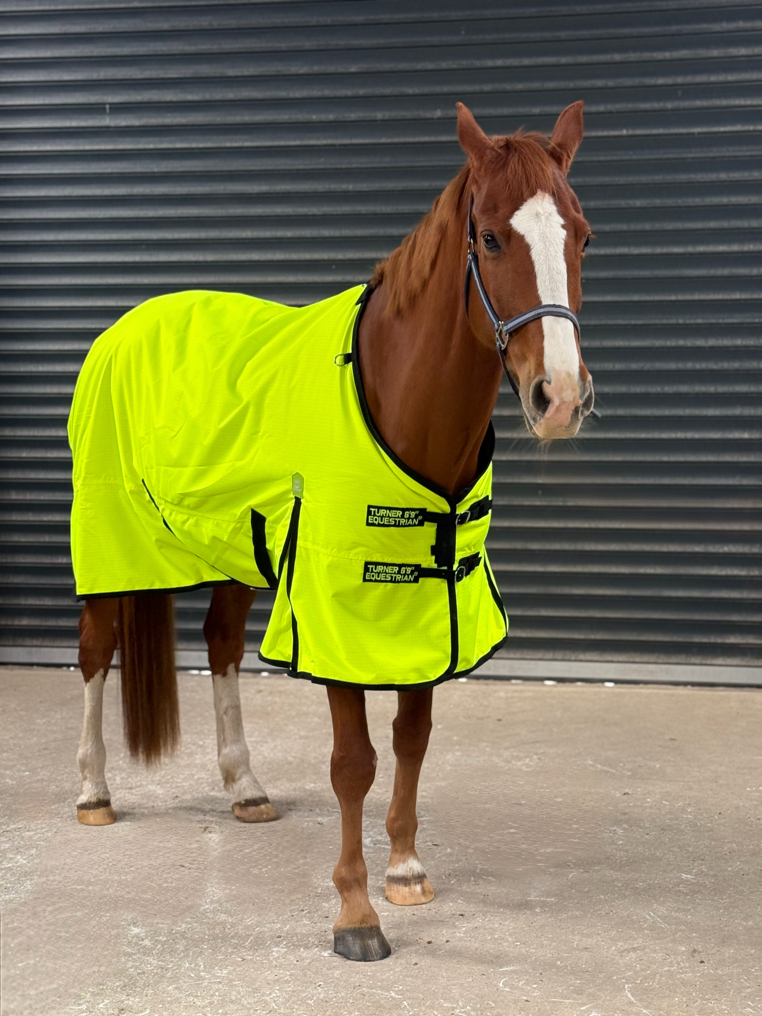 Lightweight 600D Turnout Rug 100g Fill Reflective