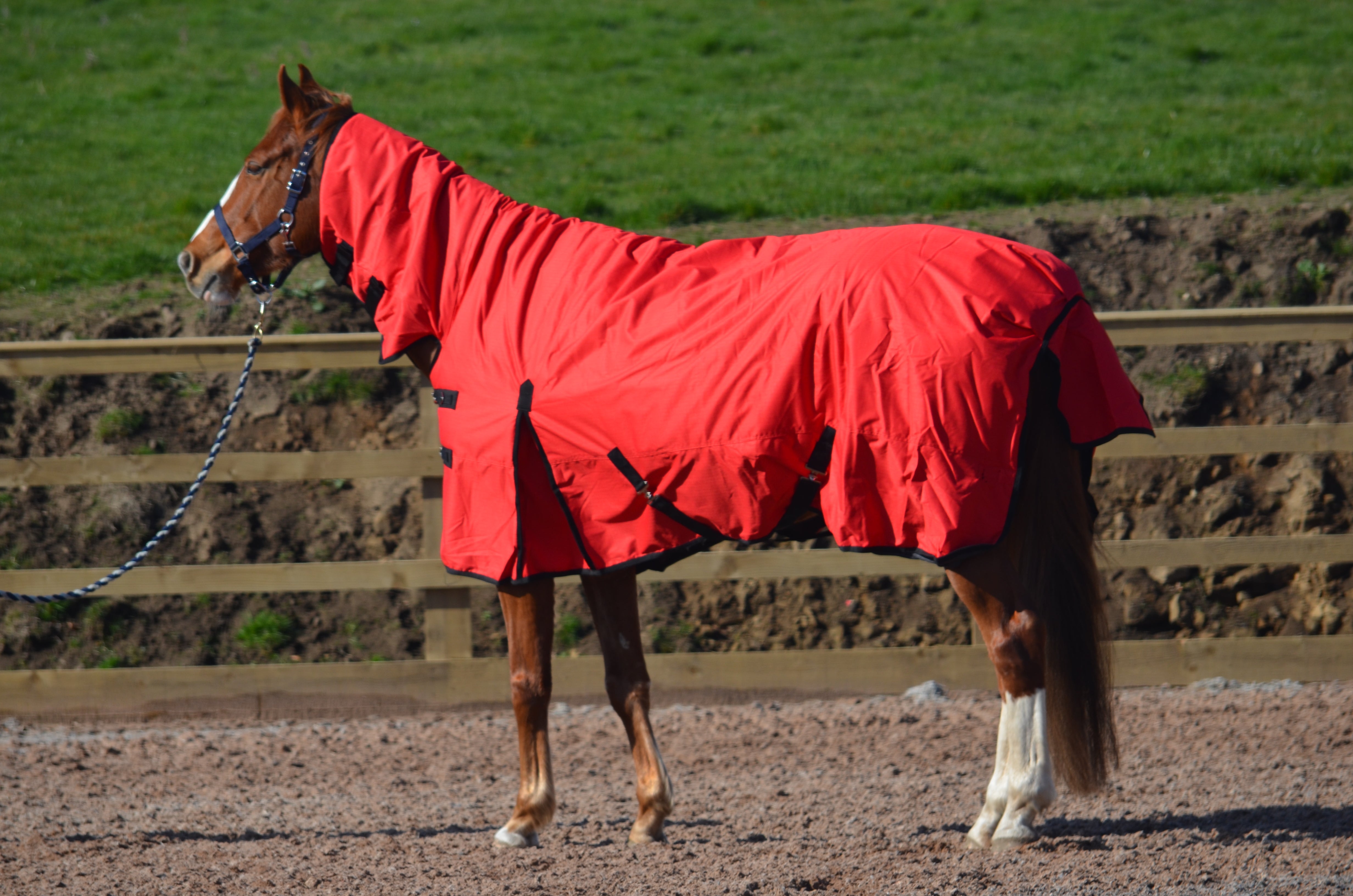 Heavyweight Combo 600D Denier Turnout Rug 350g Fill Red Close Up - Turner Equestrian