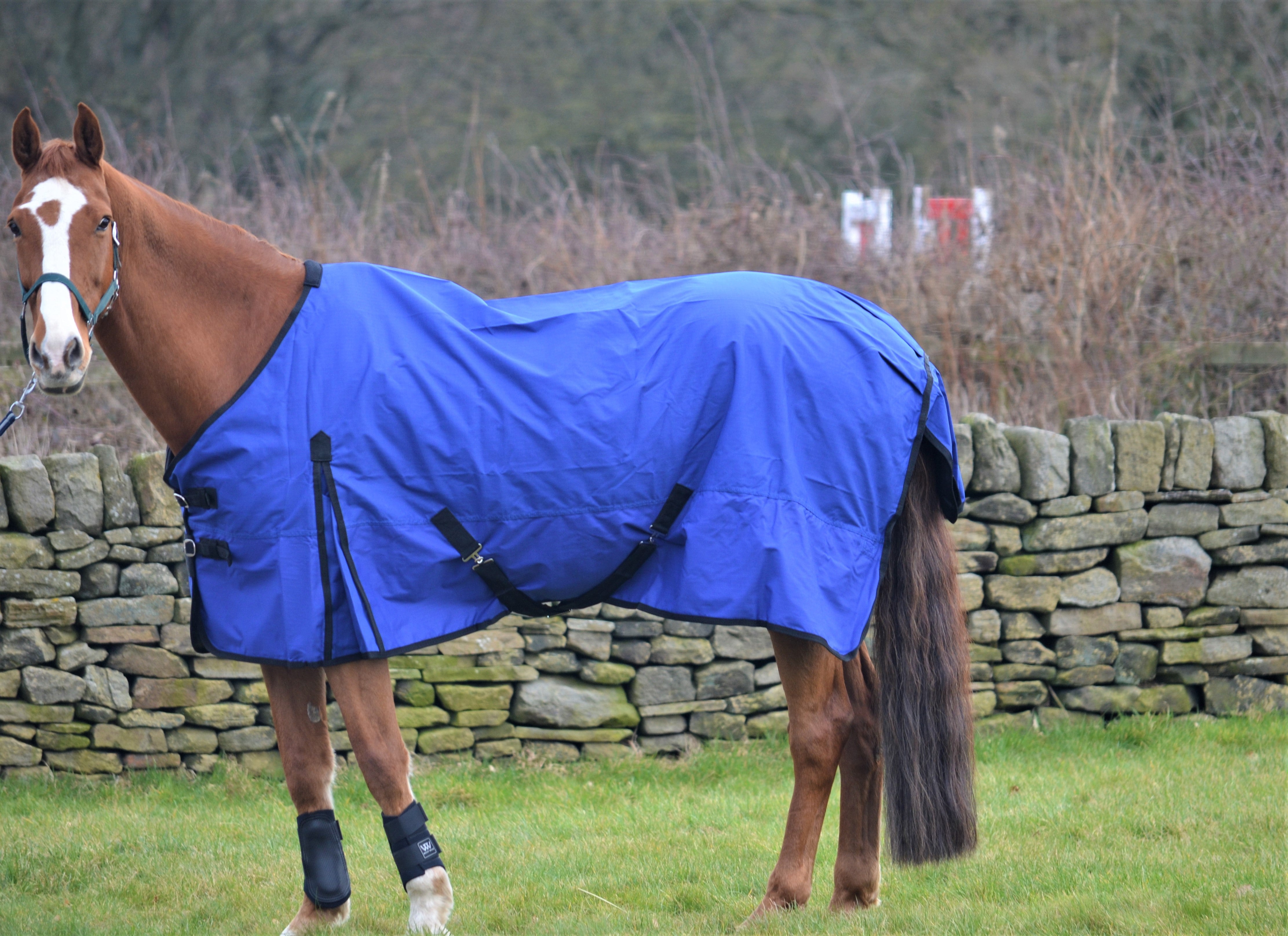 Lightweight Rainsheet 600D Turnout Rug 0g Fill Royal Blue