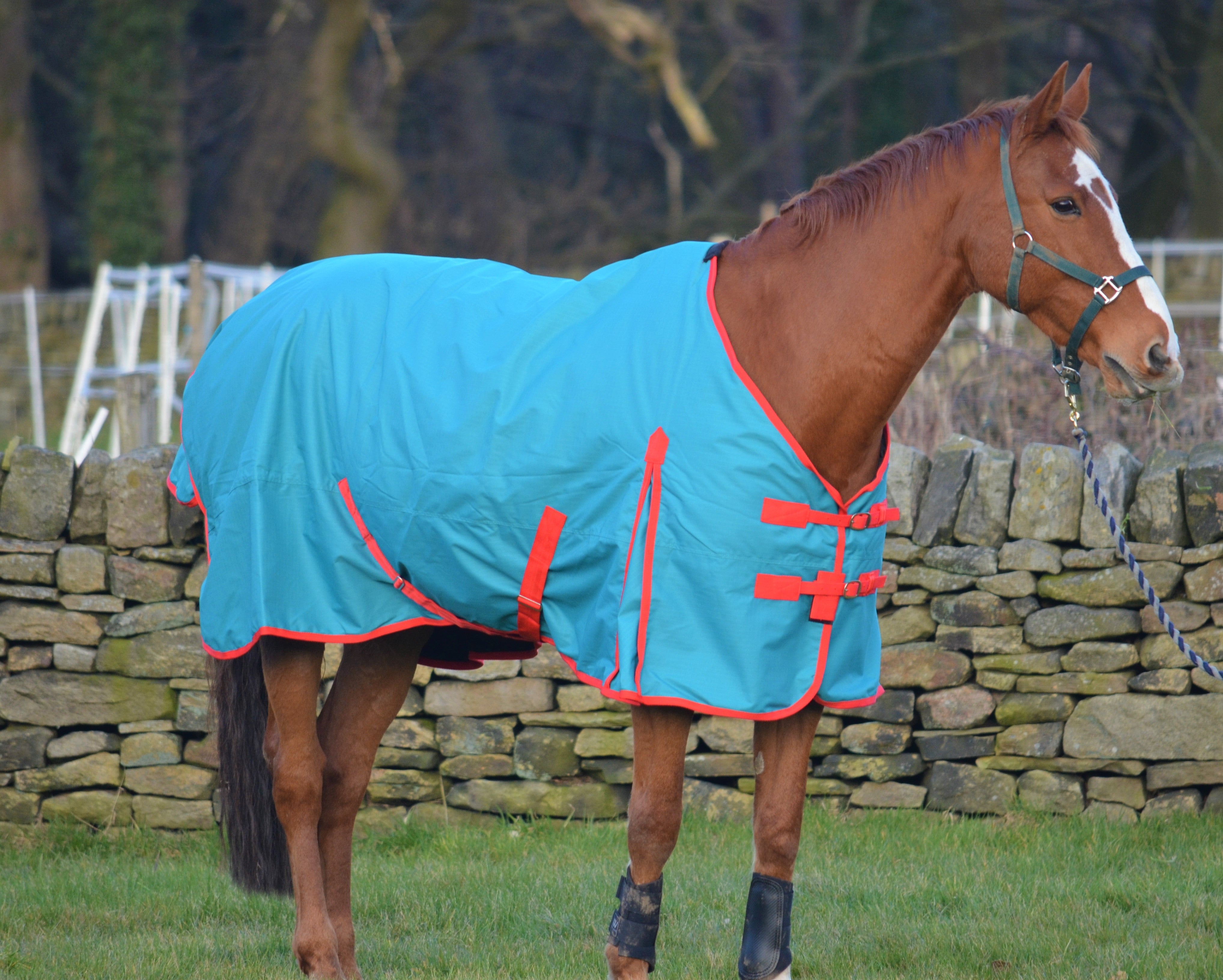 Teal Lightweight 600D 100g Fill Turnout Rug