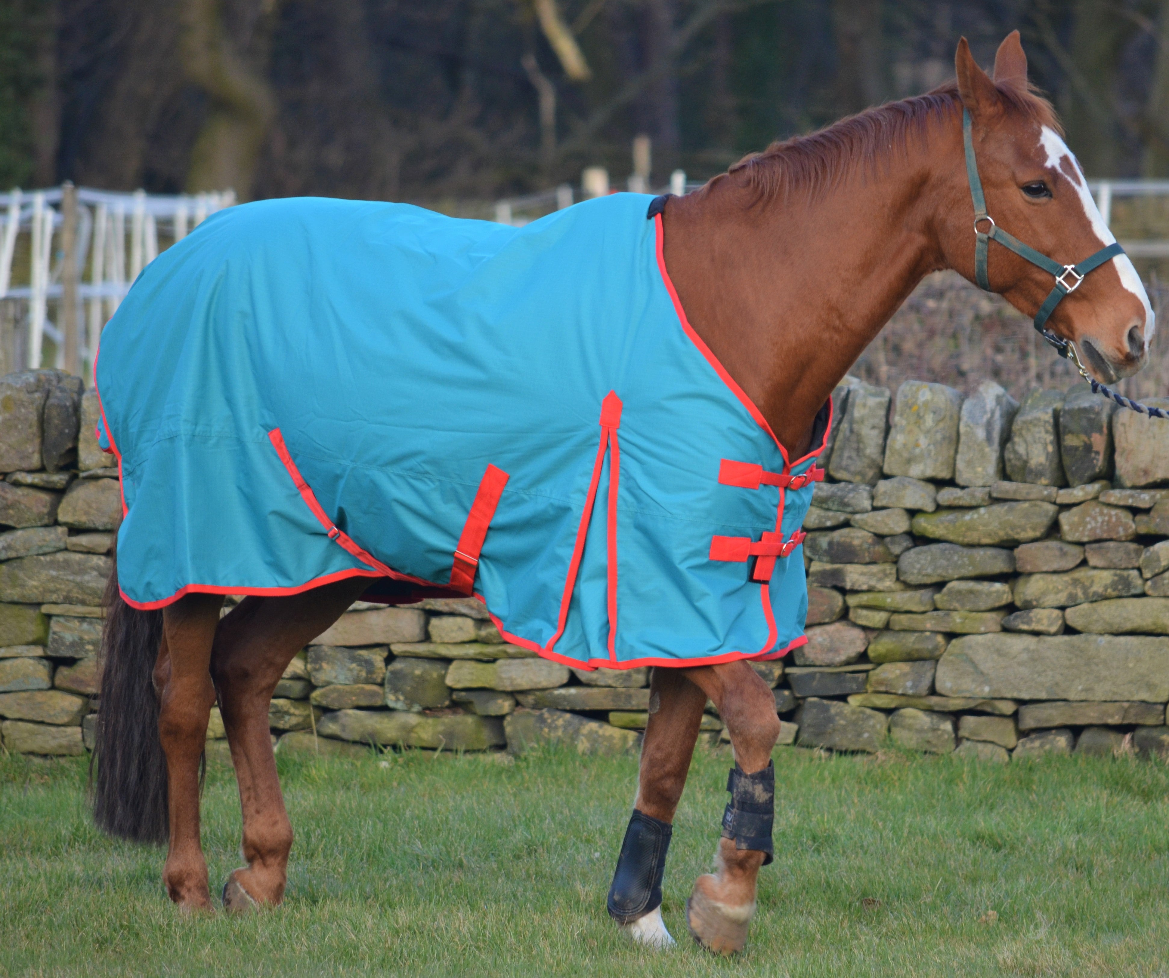 Teal Lightweight 600D 100g Fill Turnout Rug