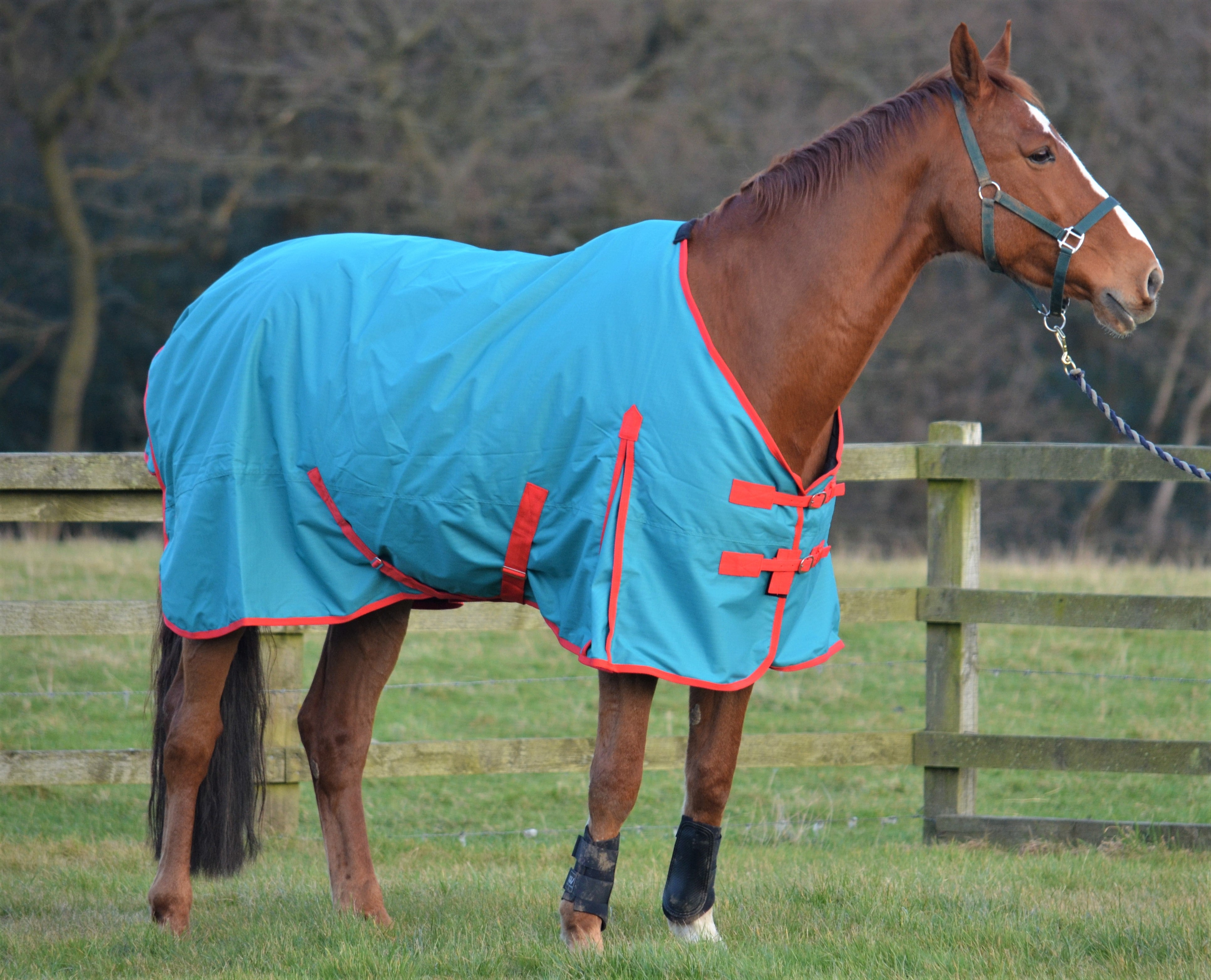 Teal Lightweight 600D 100g Fill Turnout Rug