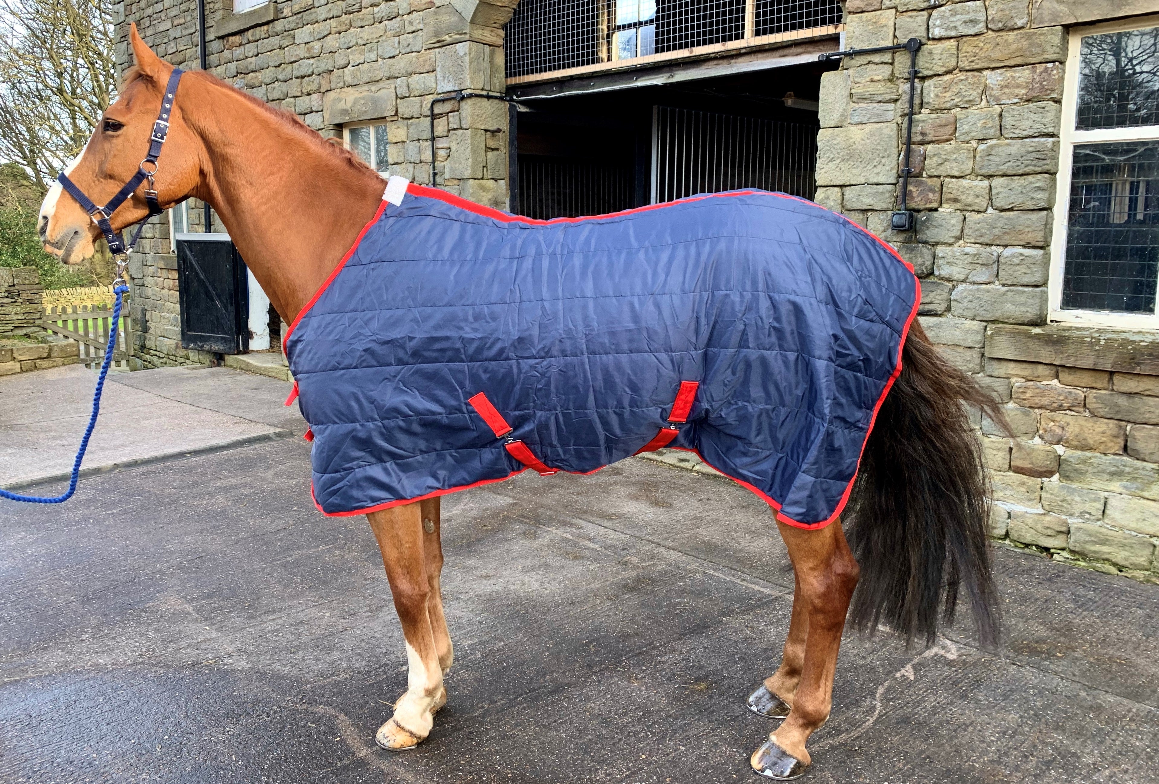 Lightweight Quilted Horse Stable Rug Cooler 100g Fill