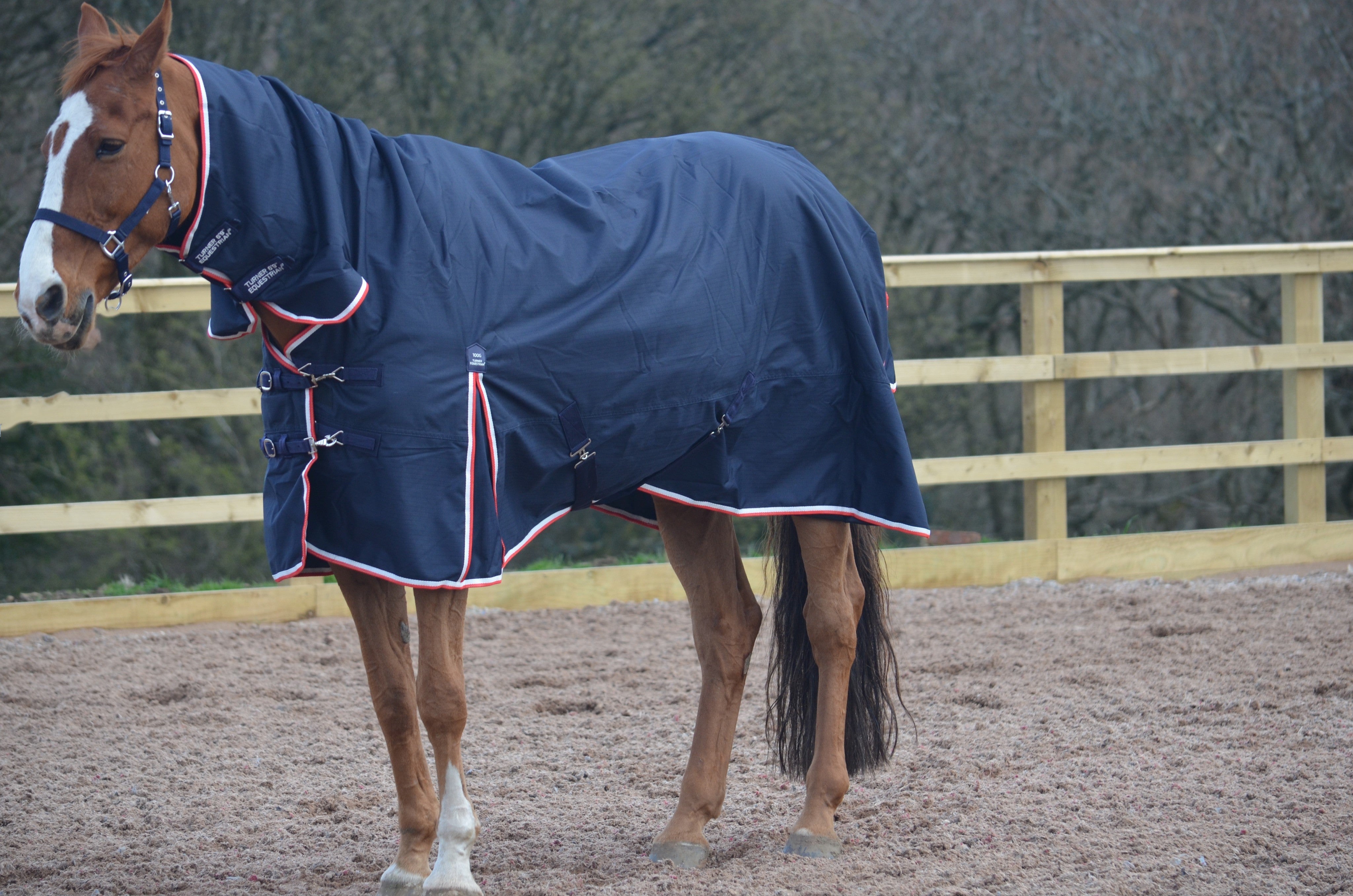 Lightweight Combo 600D Turnout Rug 100g Fill Navy