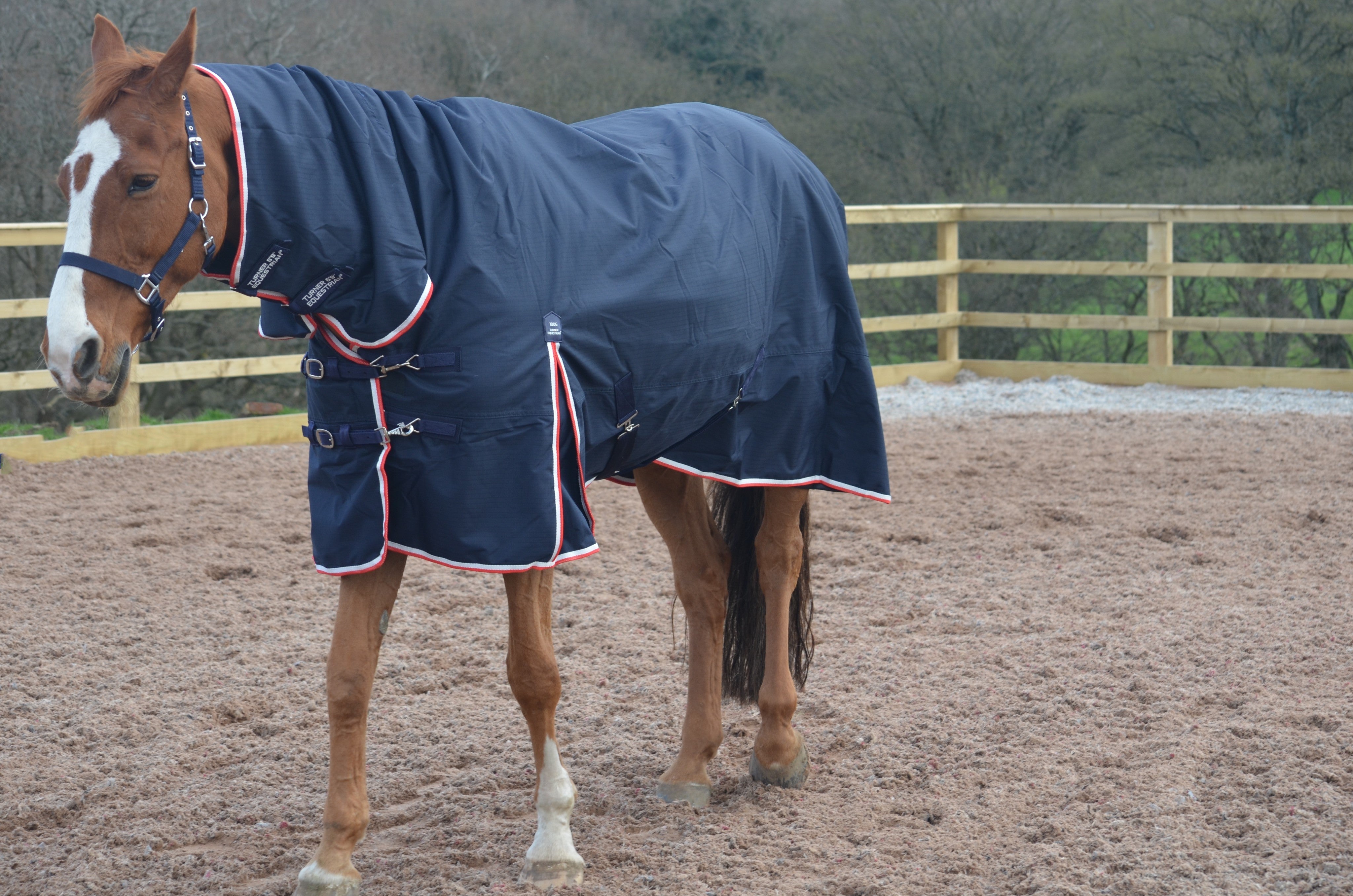 Lightweight Combo 600D Turnout Rug 100g Fill Navy