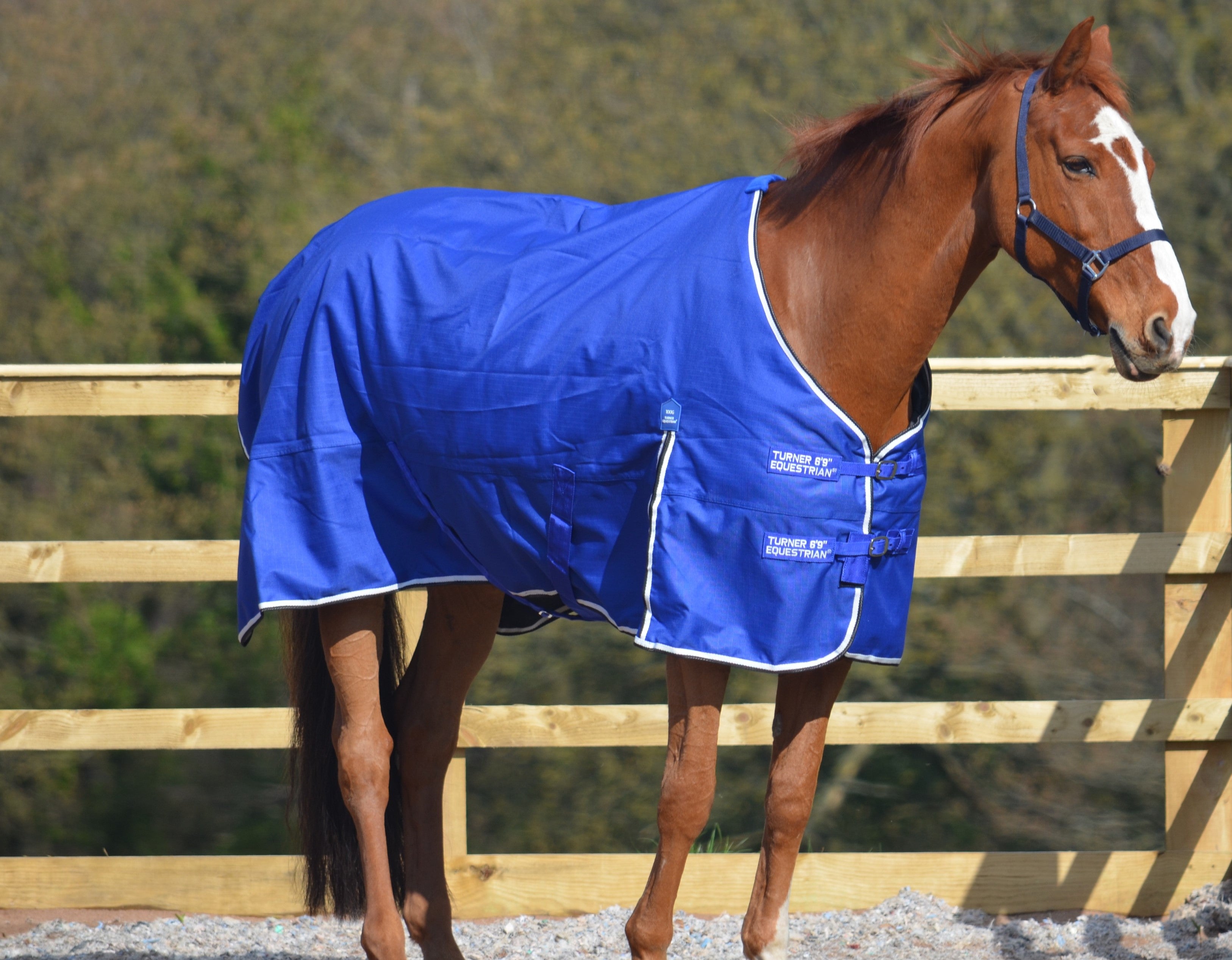 Lightweight 600D and 1200D Turnout Rug 100g Fill Royal Blue