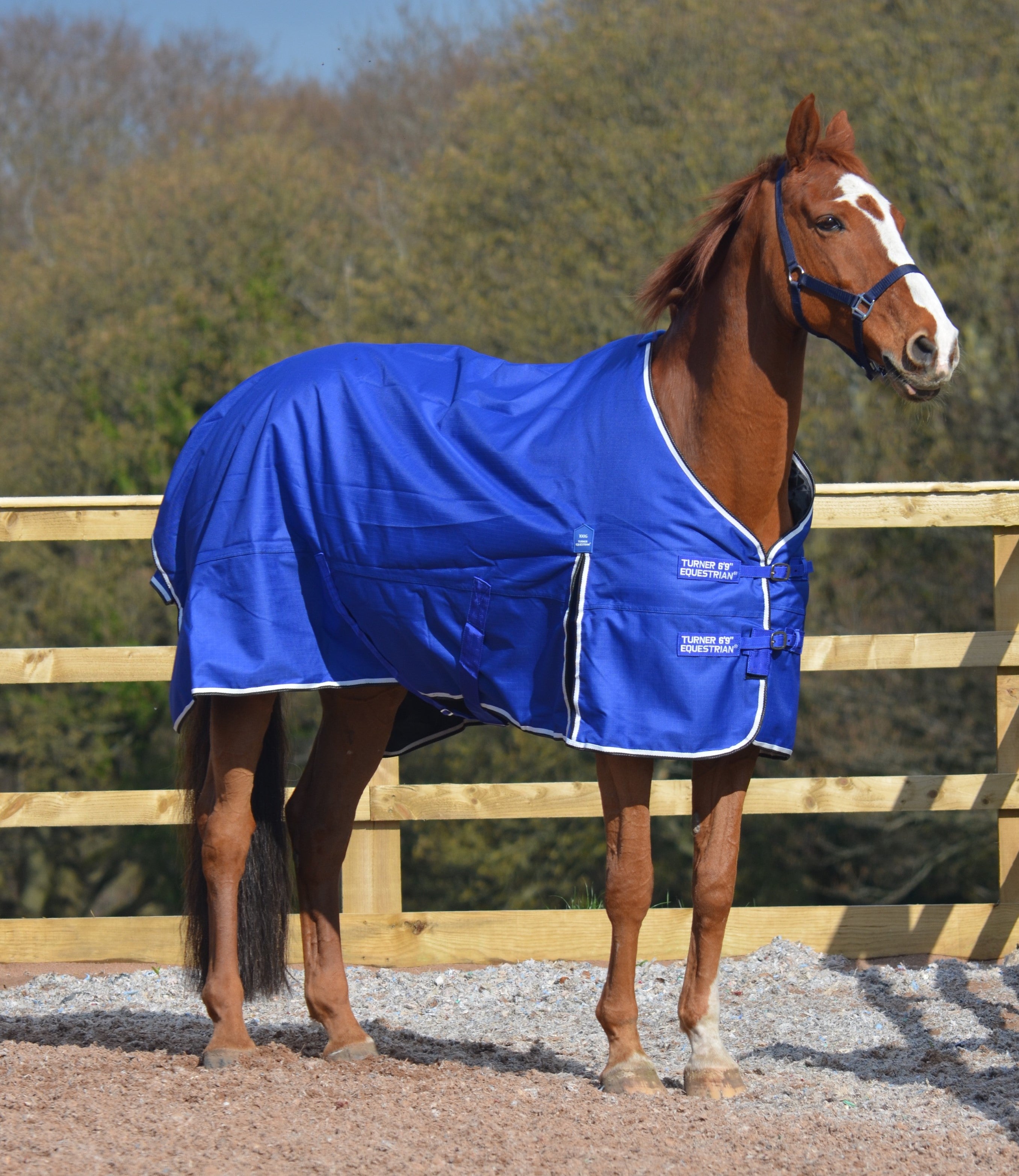 Lightweight 600D and 1200D Turnout Rug 100g Fill Royal Blue
