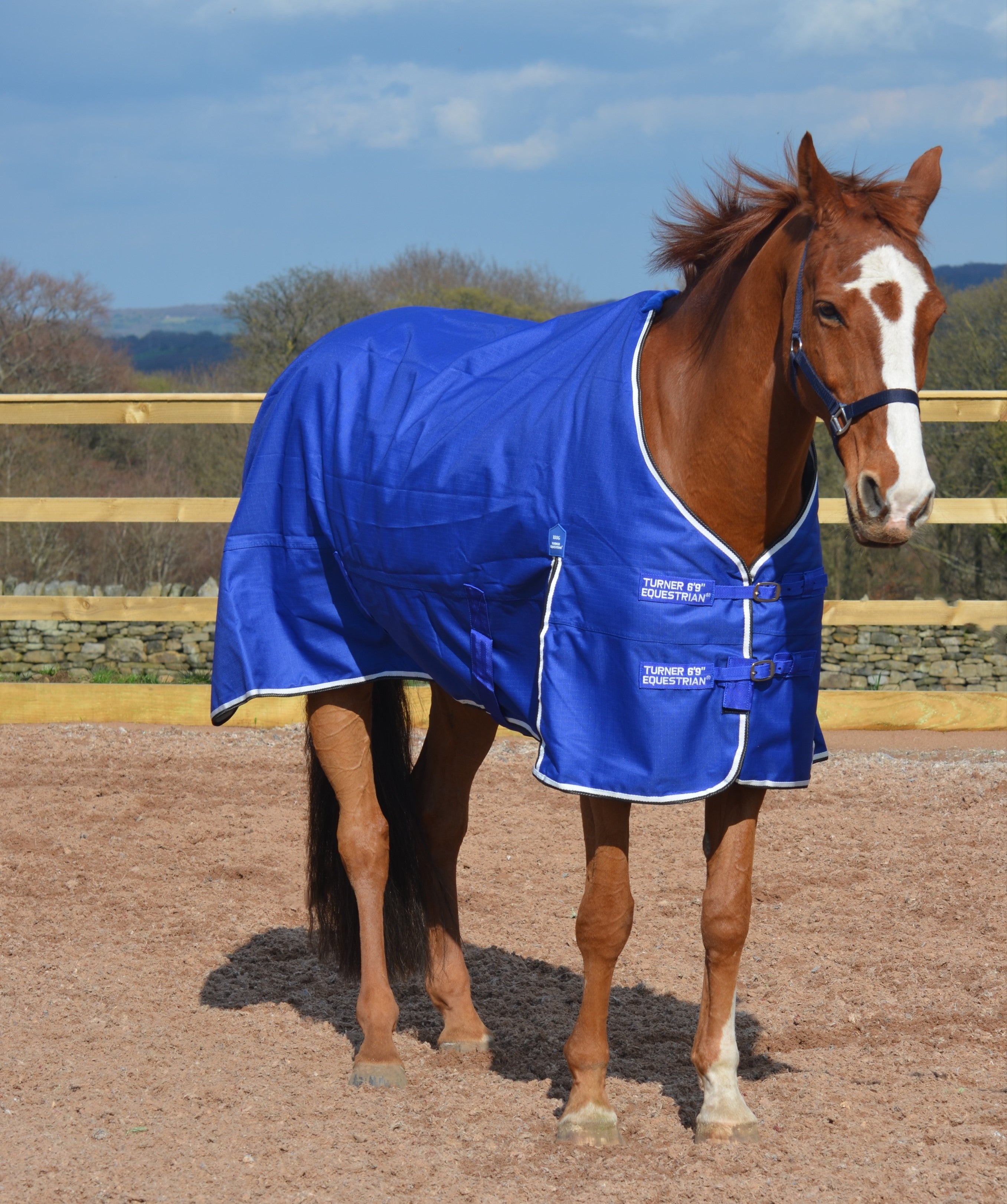 Lightweight 600D and 1200D Turnout Rug 100g Fill Royal Blue