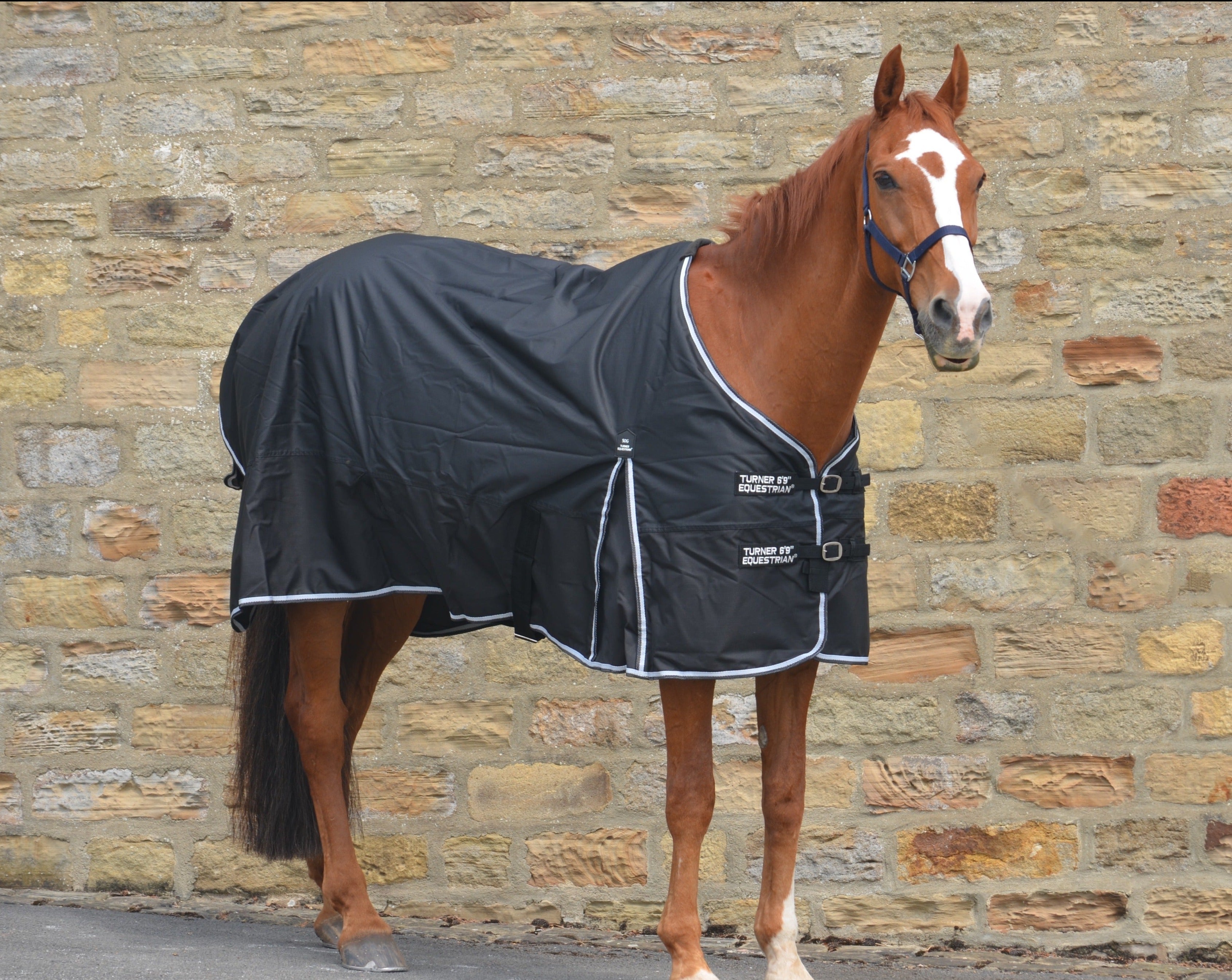Lightweight 600D Turnout Rug 50g Fill Black