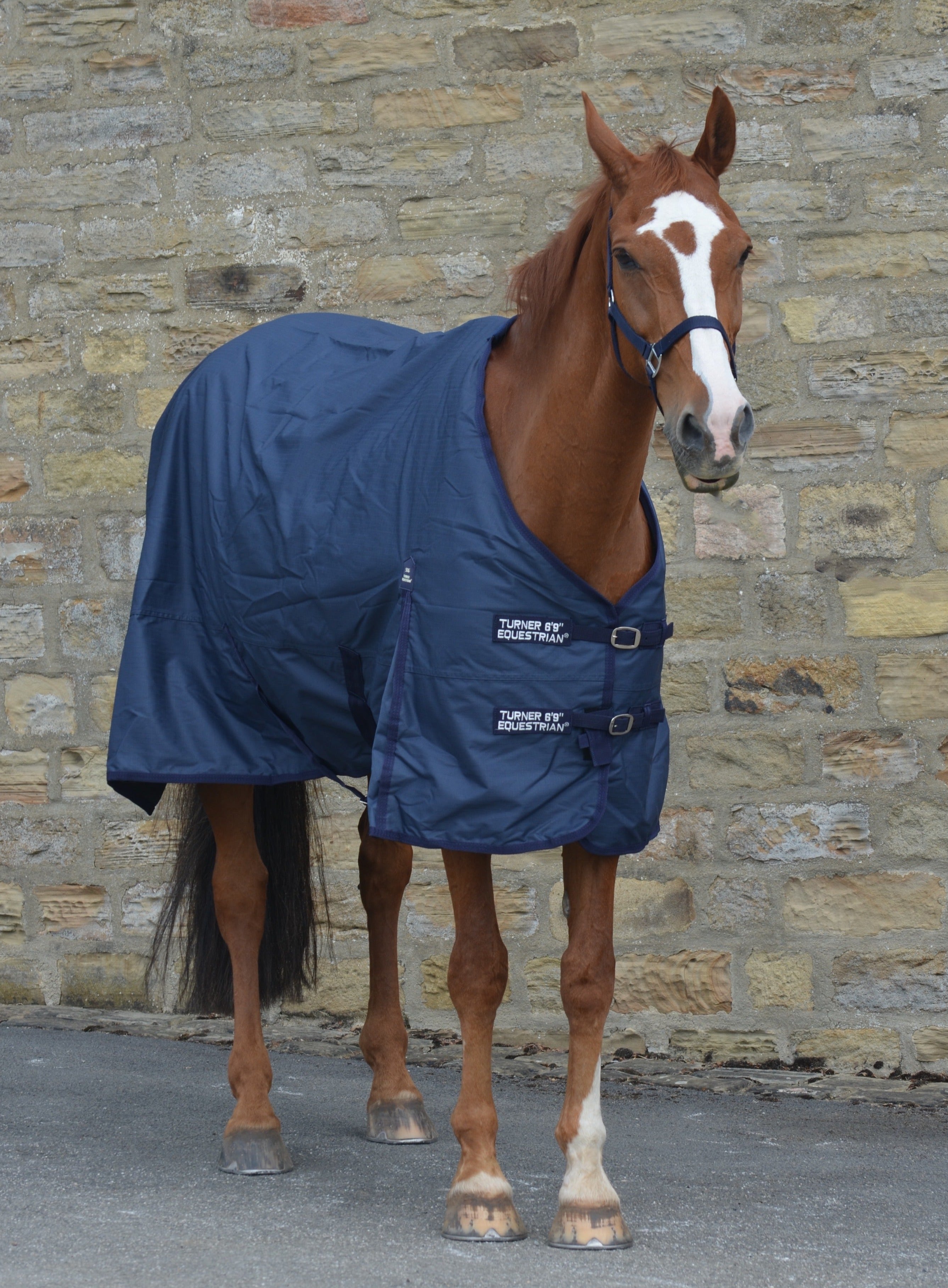 Lightweight 600D Turnout Rug 50g Fill Navy