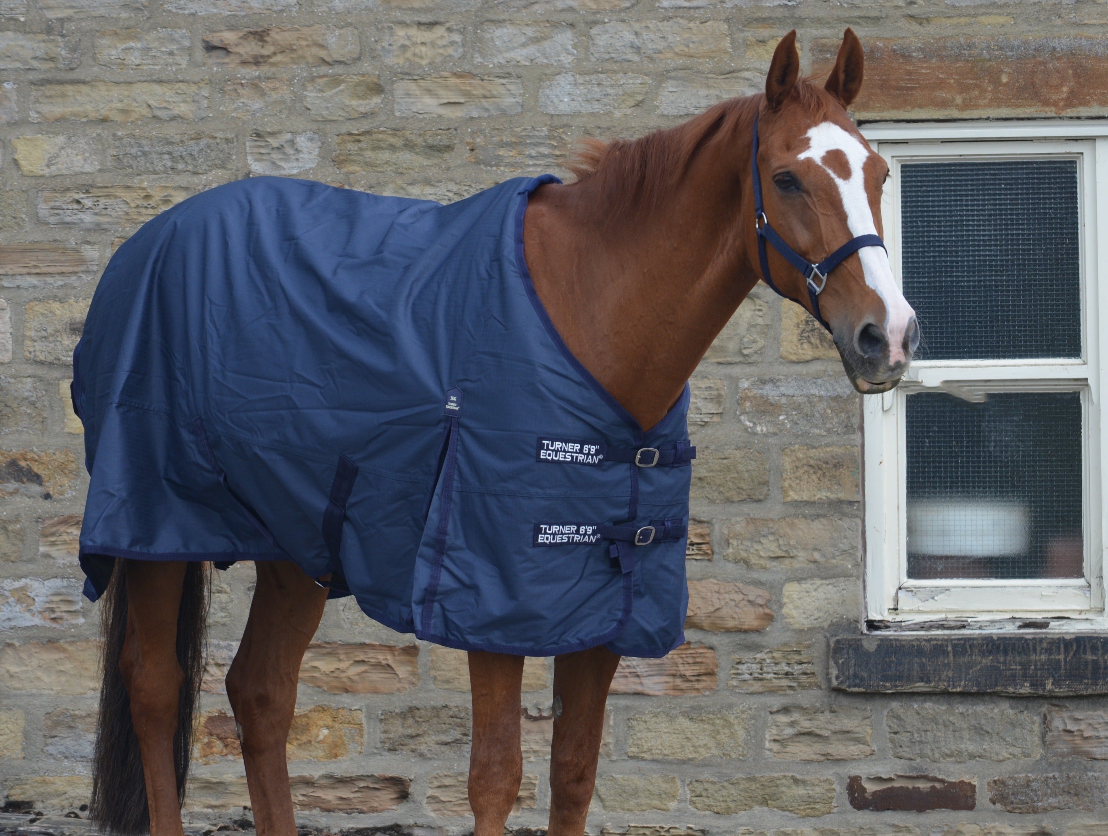 Lightweight 600D Turnout Rug 50g Fill Navy