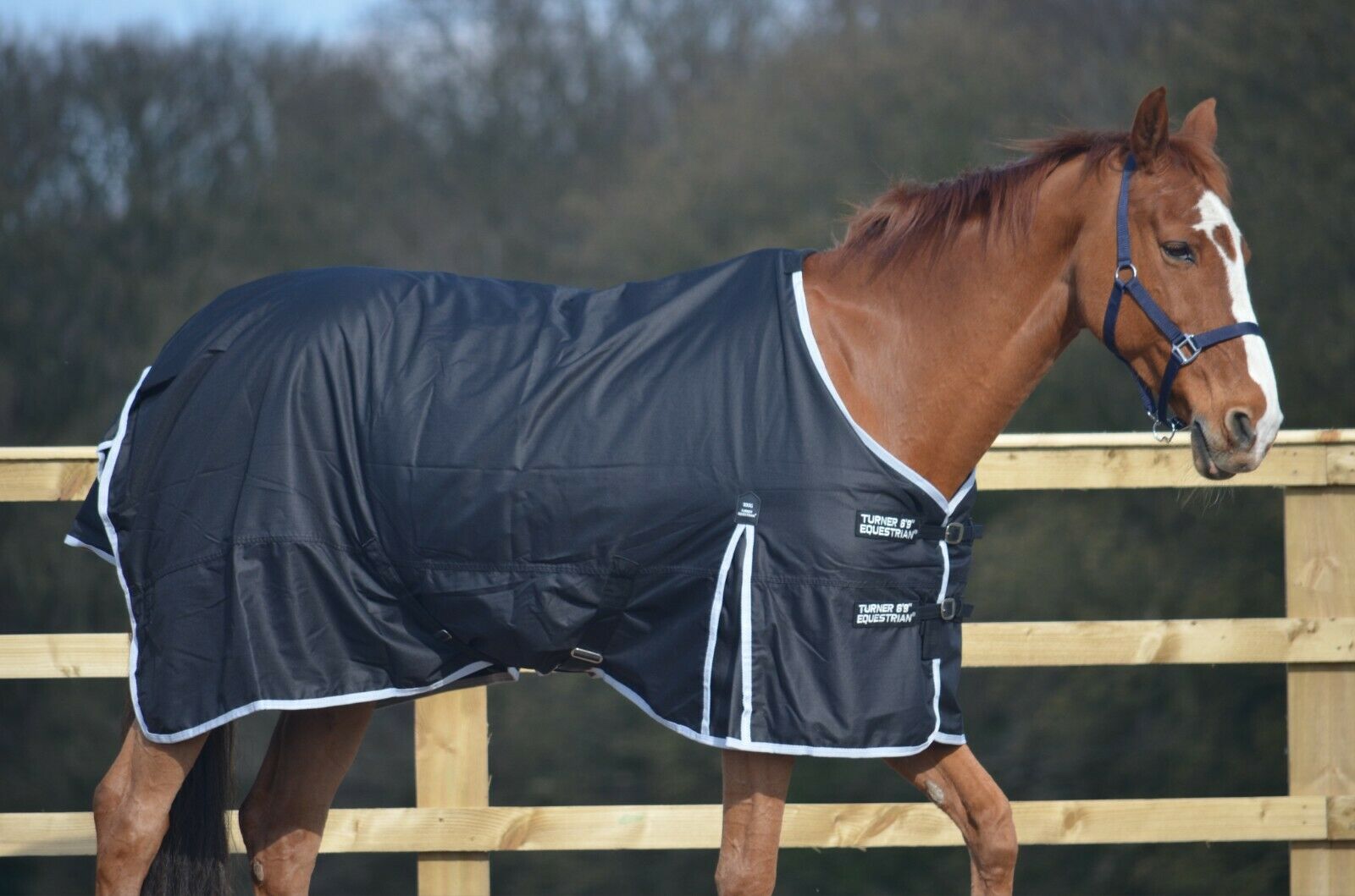 Heavyweight 600D Winter Turnout Rug 300g Fill Black