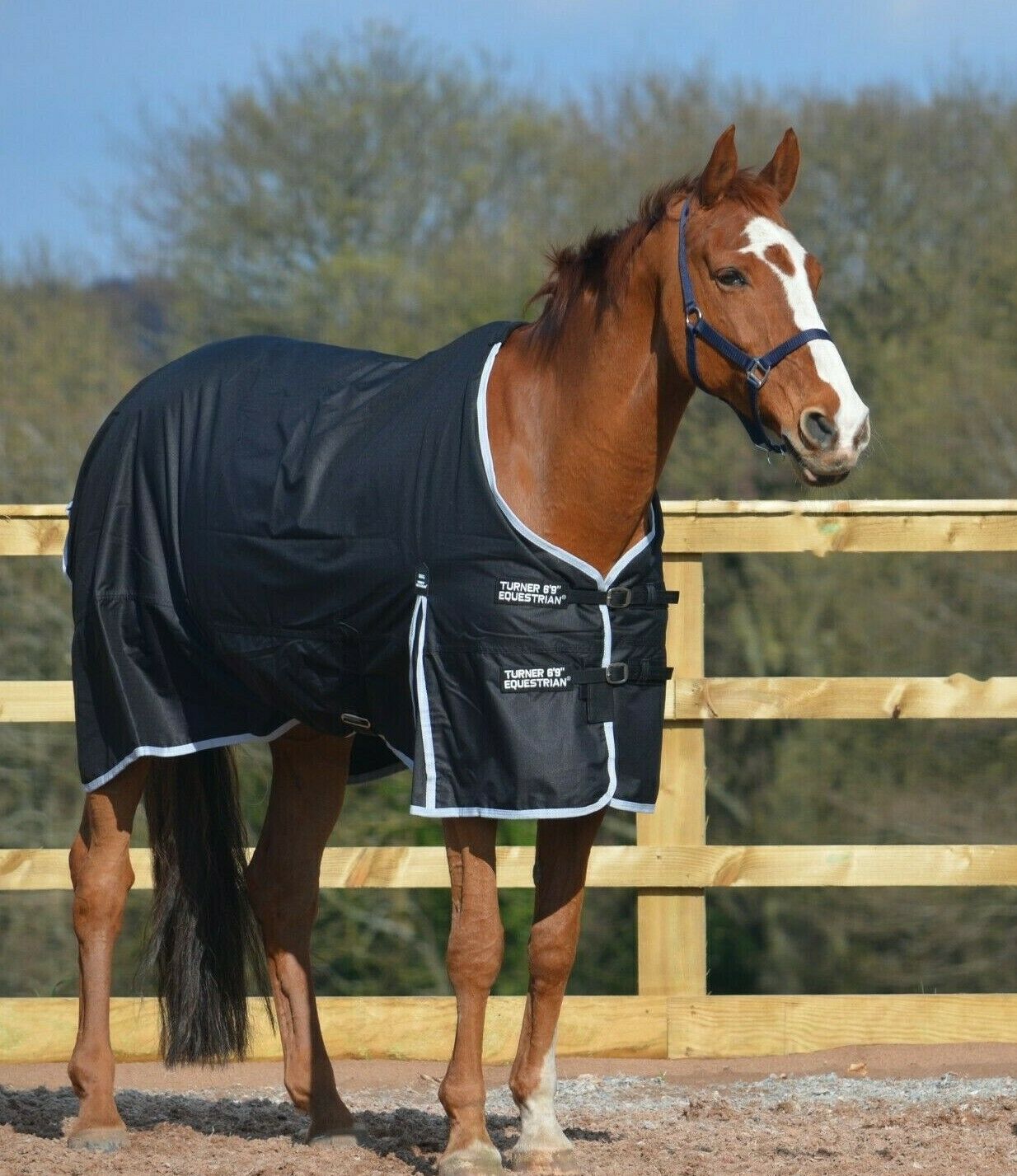Heavyweight 600D Winter Turnout Rug 300g Fill Black