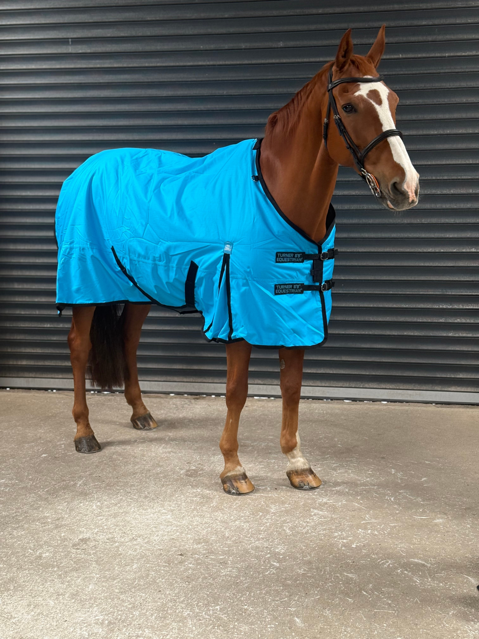 Lightweight 600D Turnout Rug 100g Fill - Highlighter Blue