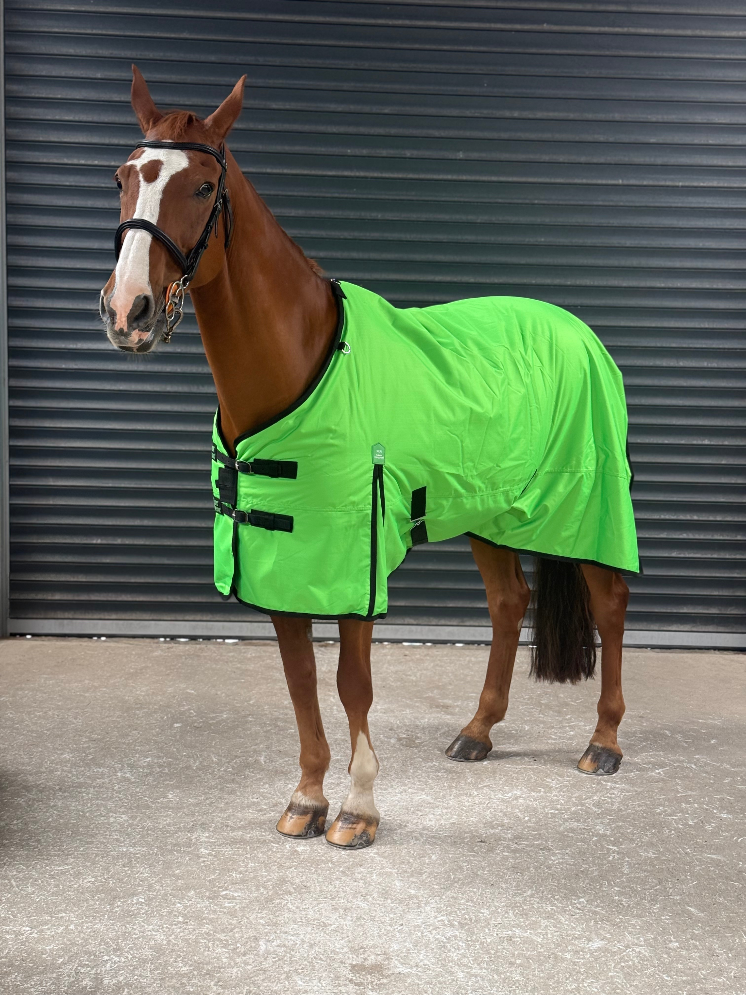 Lightweight 600D Turnout Rug 100g Fill - Highlighter Green