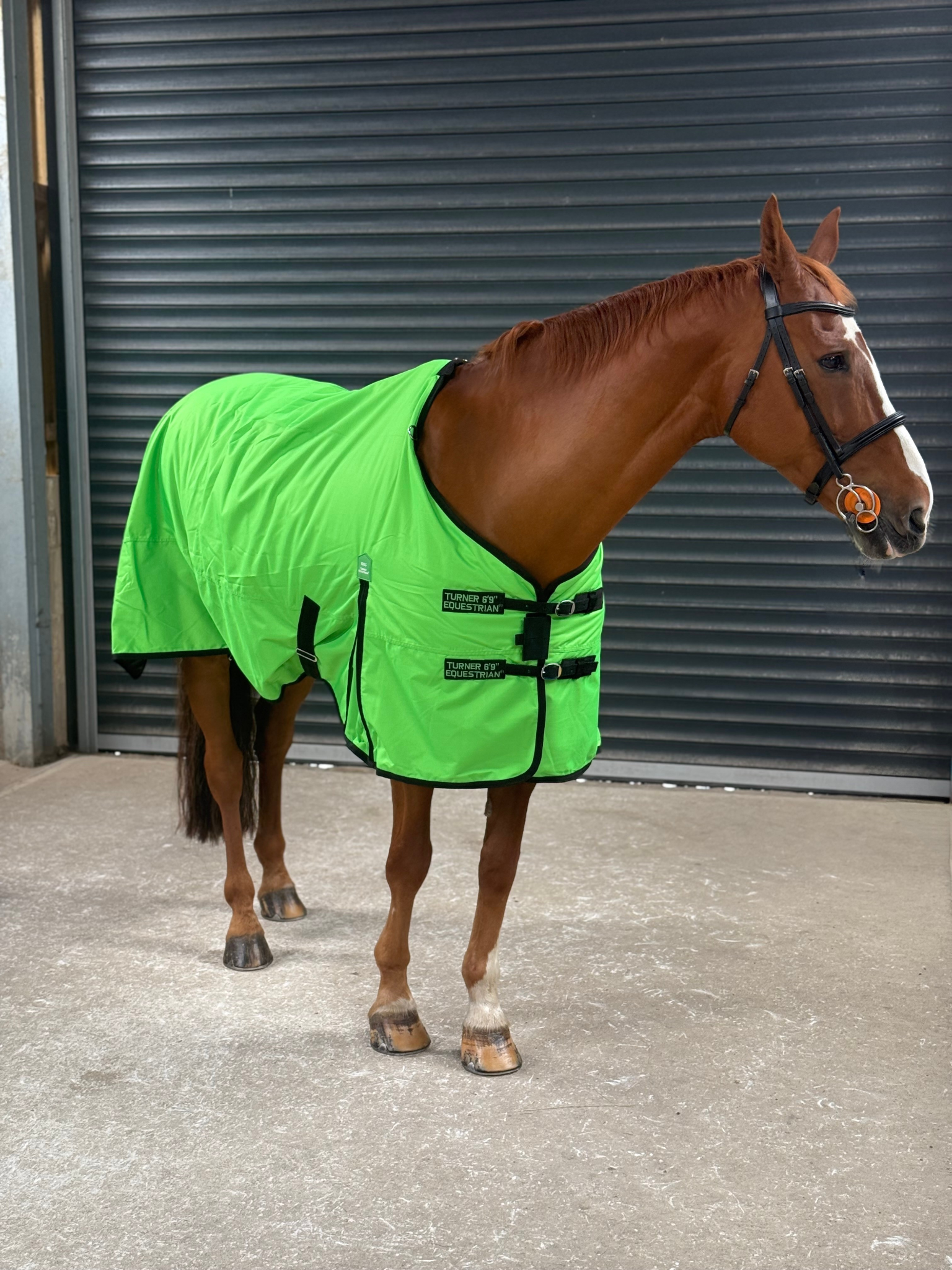 Lightweight 600D Turnout Rug 100g Fill - Highlighter Green