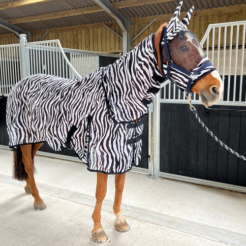 Zebra Print Fly Rug for Horse / Pony / Shetland - Lightweight Full Neck Combo