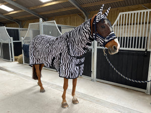 Zebra Print Fly Rug for Horse / Pony / Shetland - Lightweight Full Neck Combo