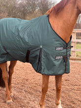 Load image into Gallery viewer, Lightweight 600 Denier Turnout Rug 100g Fill Forest Green