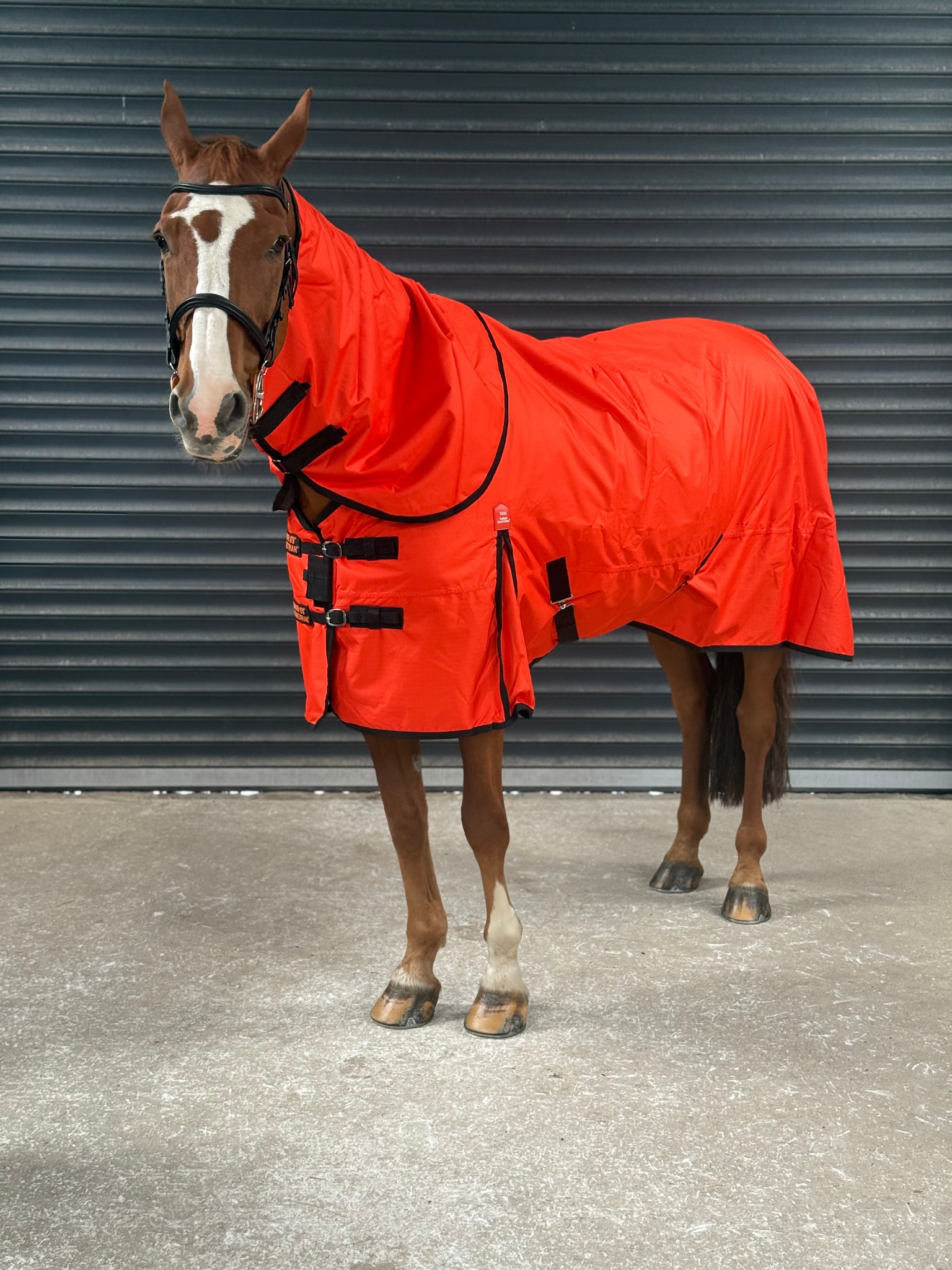 Lightweight 600D Turnout Rug 100g Fill - Highlighter Orange